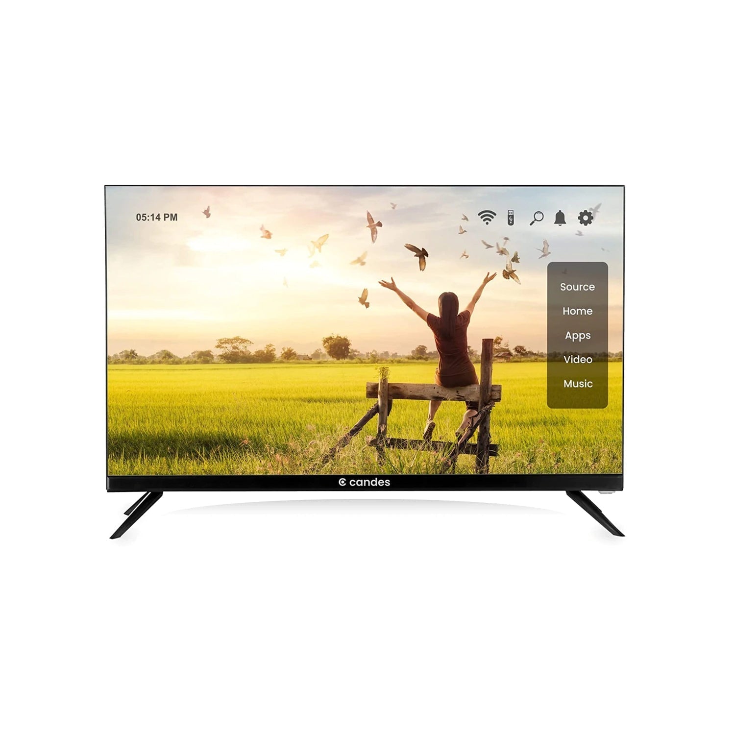 Candes-store Candes Frameless 32 Normal LED TV Black (Model Id - CANDES32CF32N001)