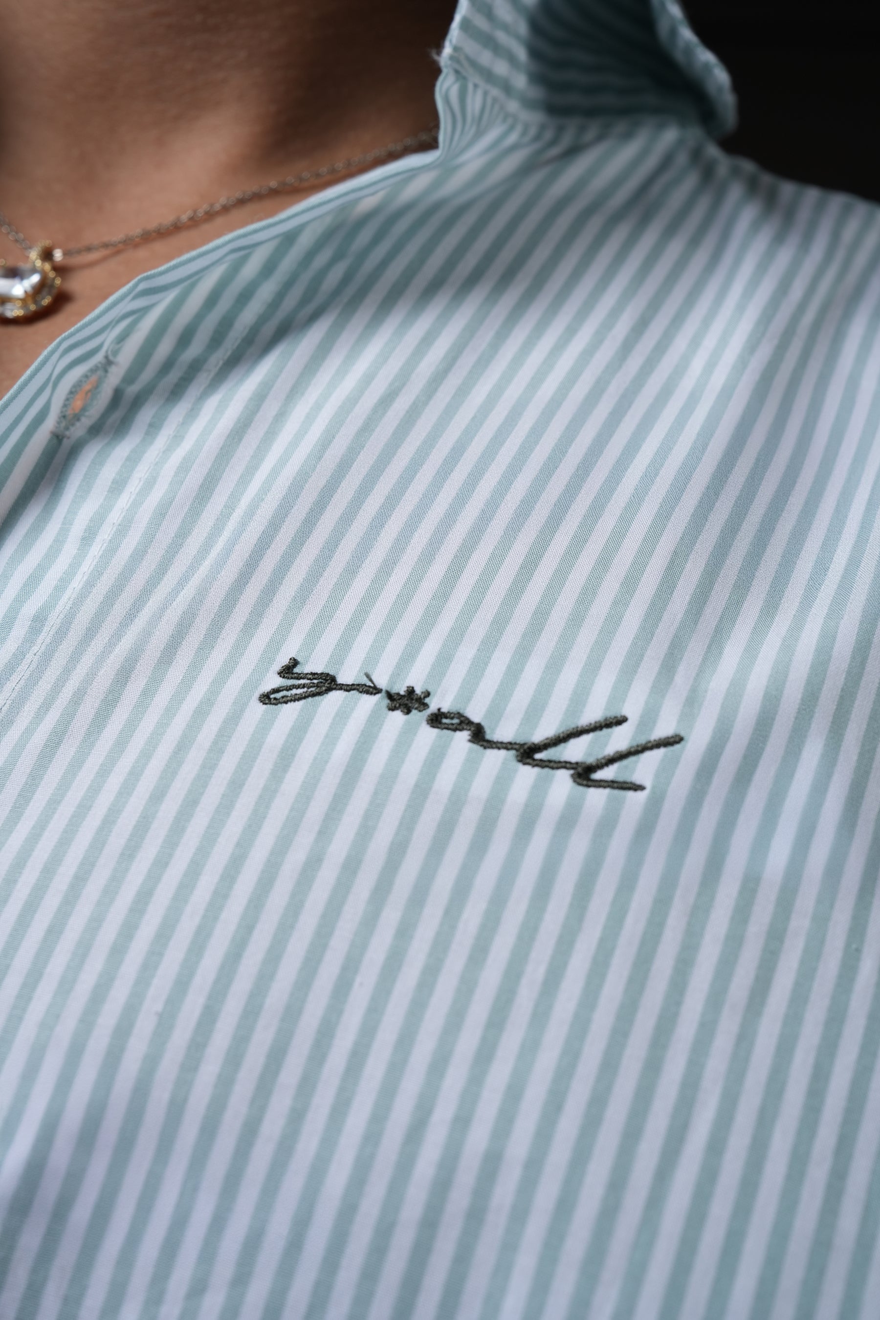 Y*all Talk in Line - Pinstripe Shirt - view 4