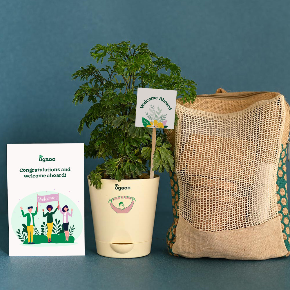 Ugaoo Aralia Climate Jute Bag For New Joining
