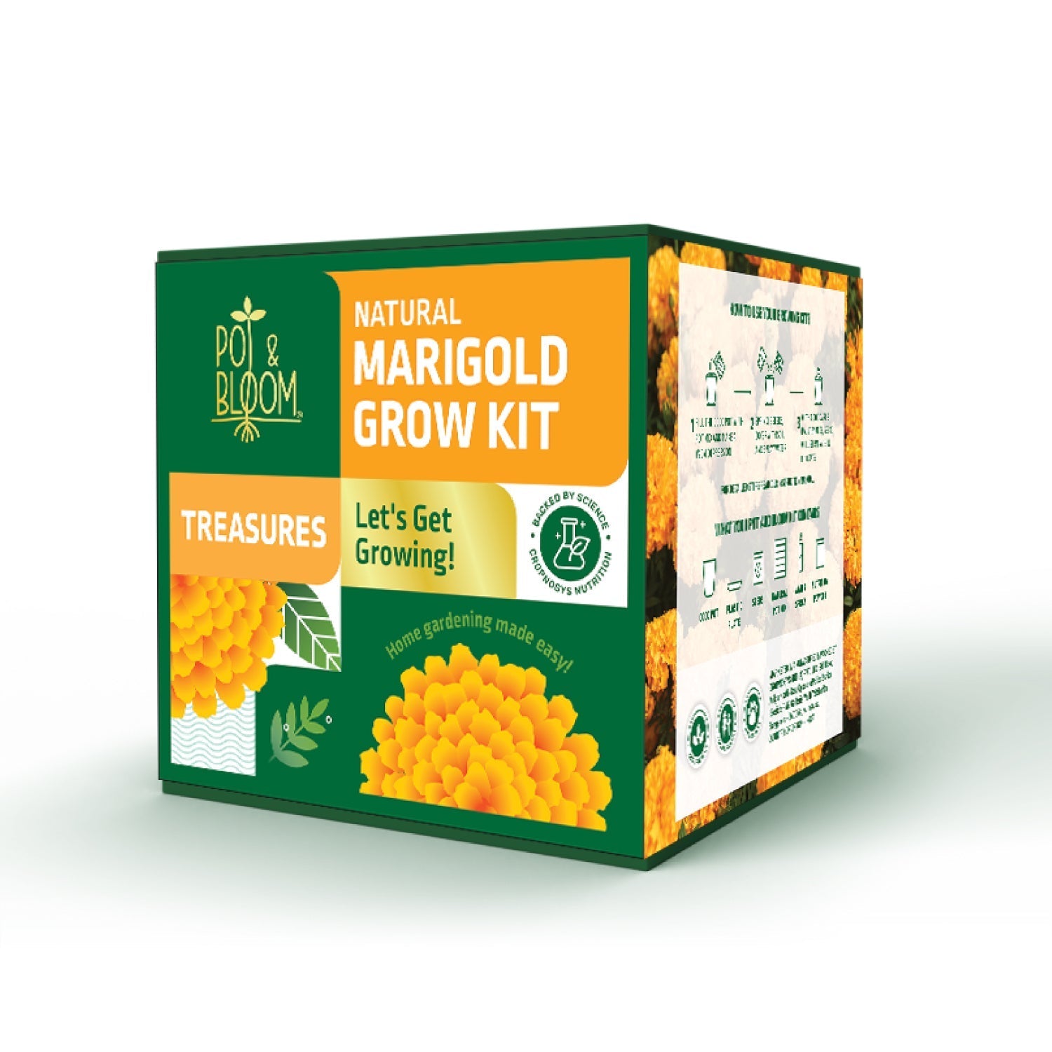Ugaoo Treasures Marigold Kit