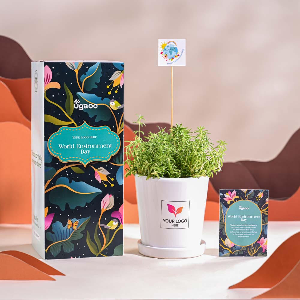 Ugaoo Golden Sedum Plant For Environment Day Gifting - view 67