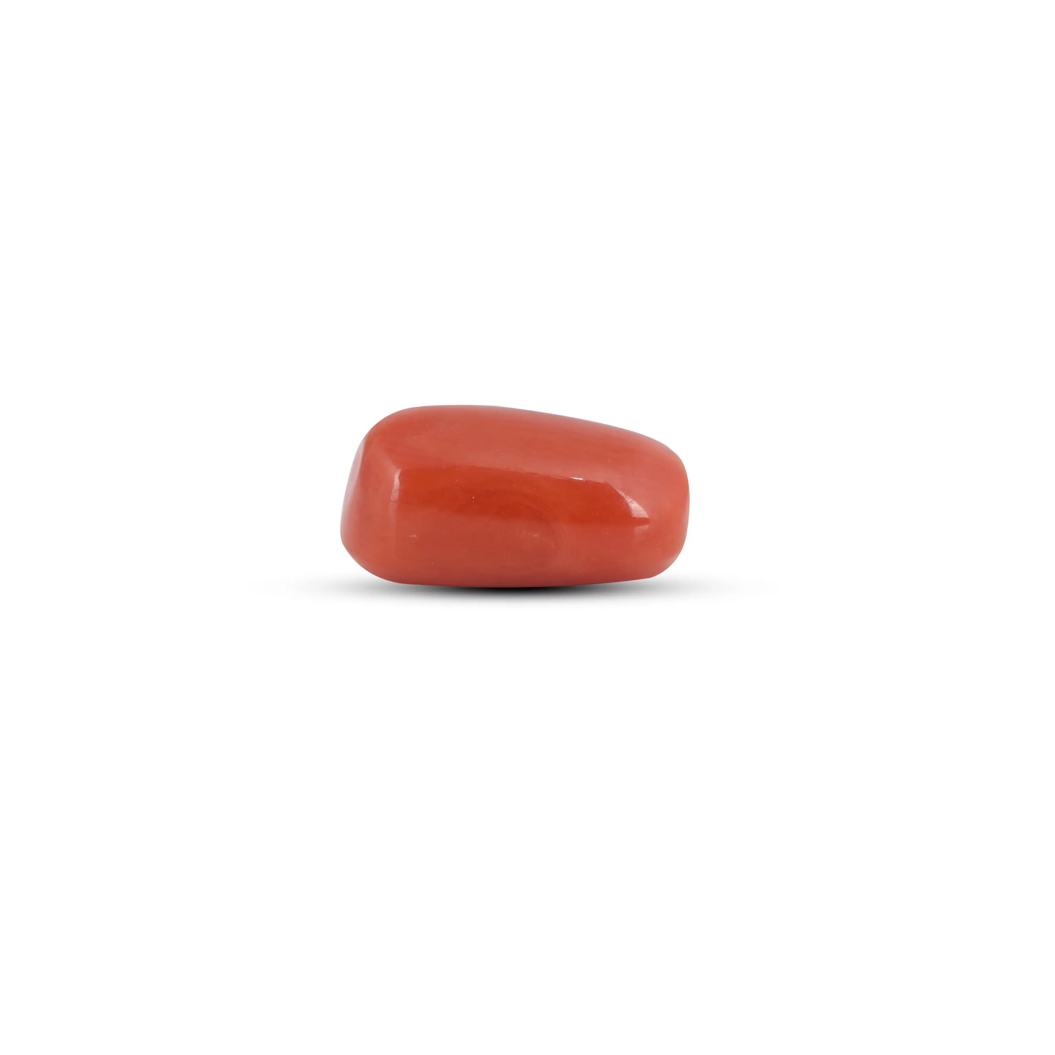 Pramogh Red Coral - 3.45 Carat - view 3