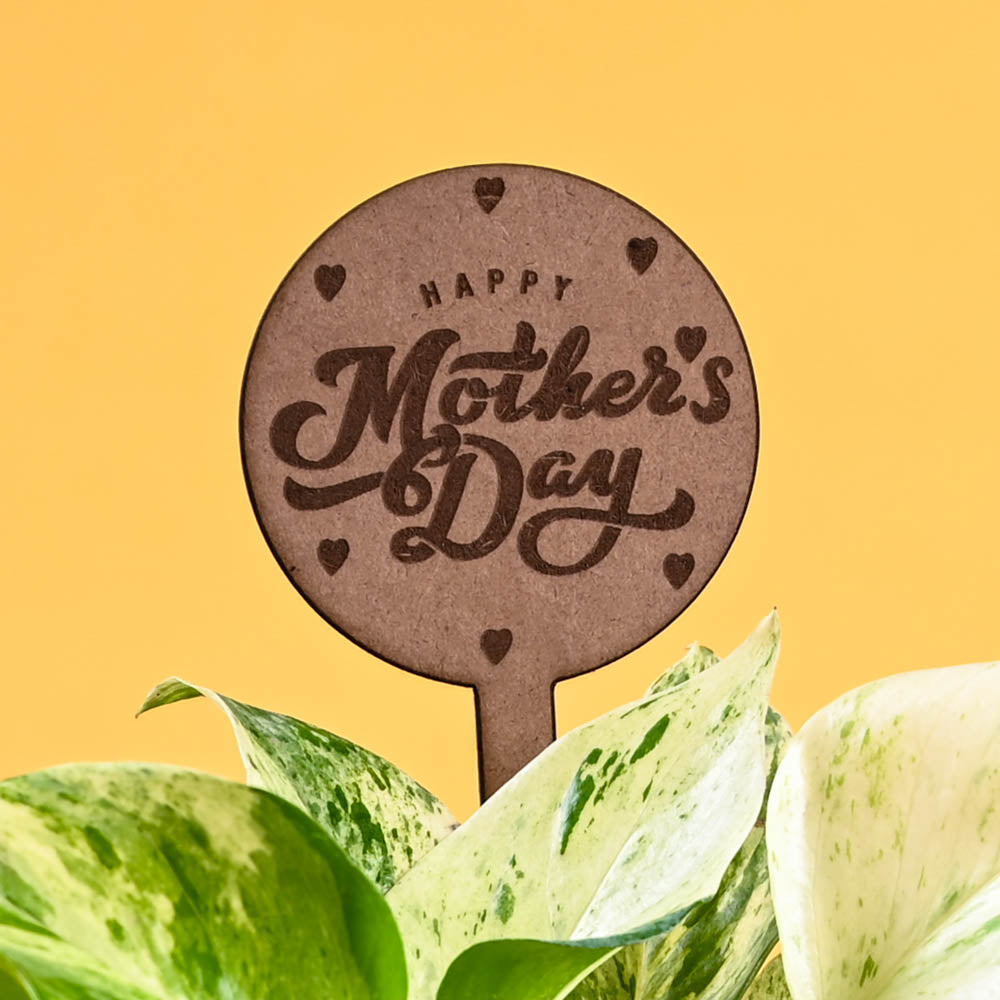 Ugaoo Money Plant Marble For Mother's Day Gifting - view 3