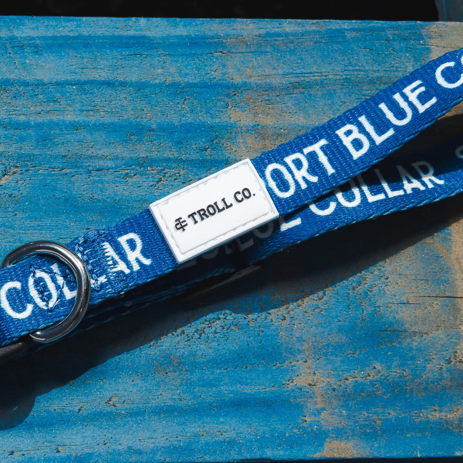 Radial SBC Heavy Duty Dog Collar – Blue - view 11