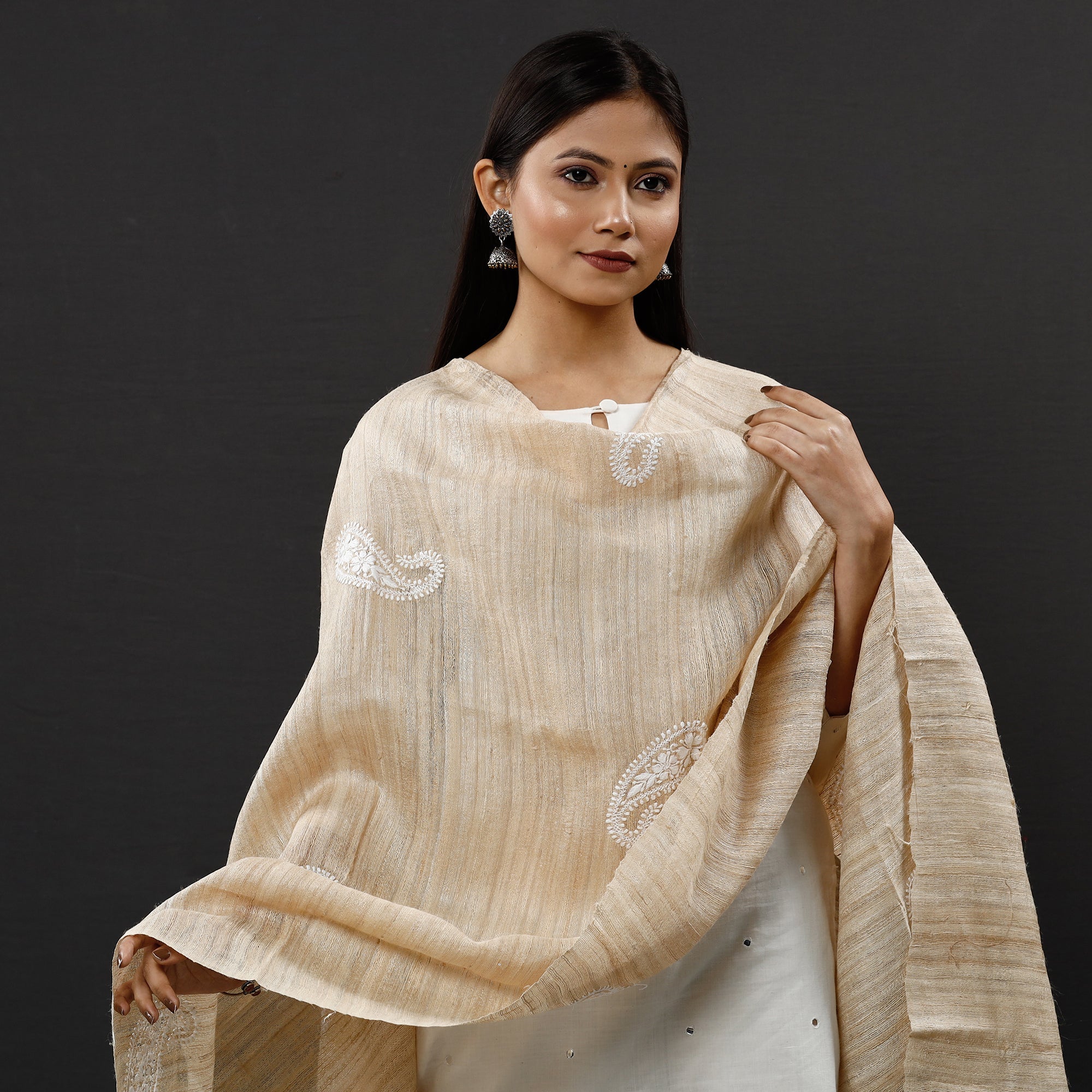 ITOKRI CRAFTS INITIATIVE Brown - Lucknow Chikankari Heavy Hand Embroidery Ghicha Silk Dupatta
