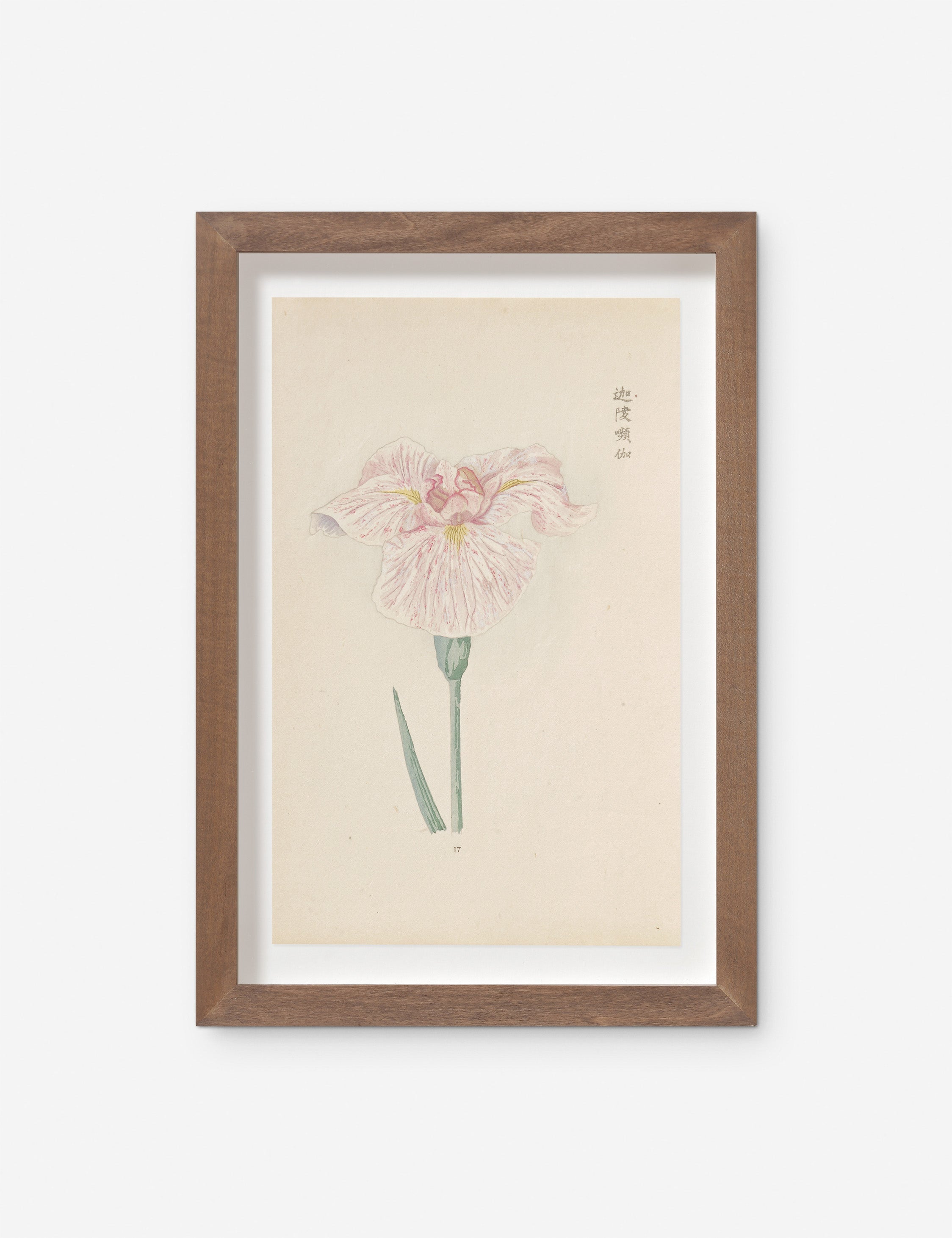 Lulu and Georgia Vintage Japanese Iris No. 17 Wall Art by Miyoshi Manabu