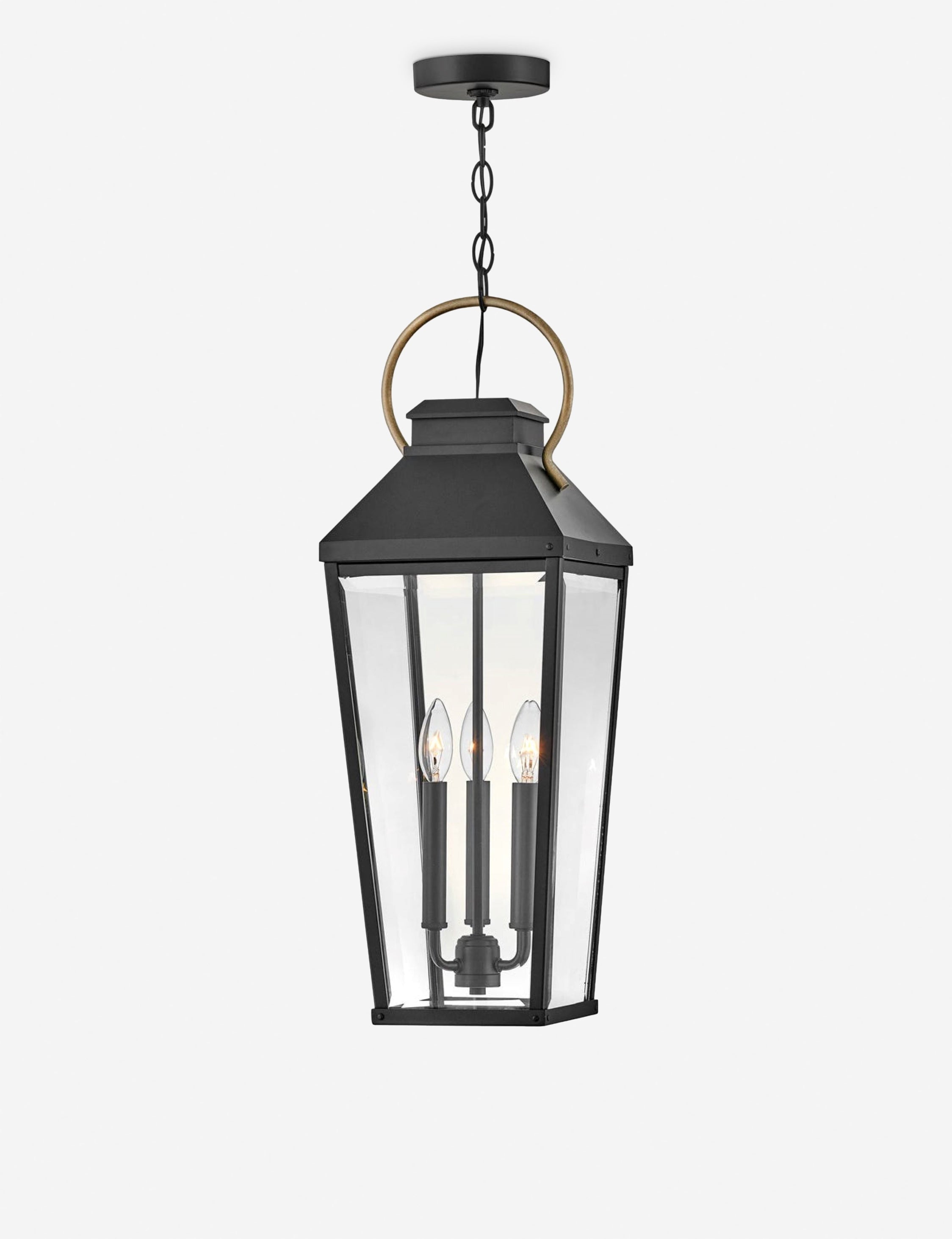Lulu and Georgia Renshaw Outdoor Pendant Light