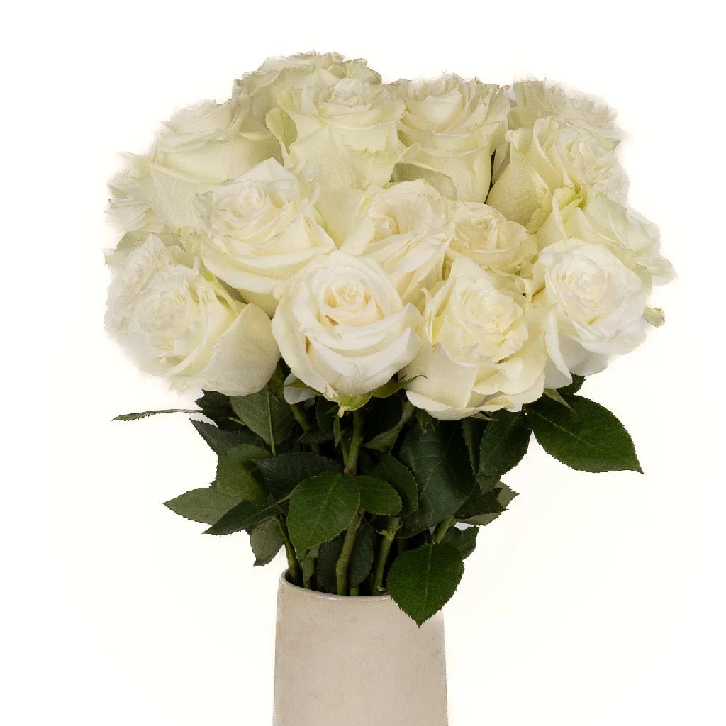 FiftyFlowers Mia White Rose - view 2