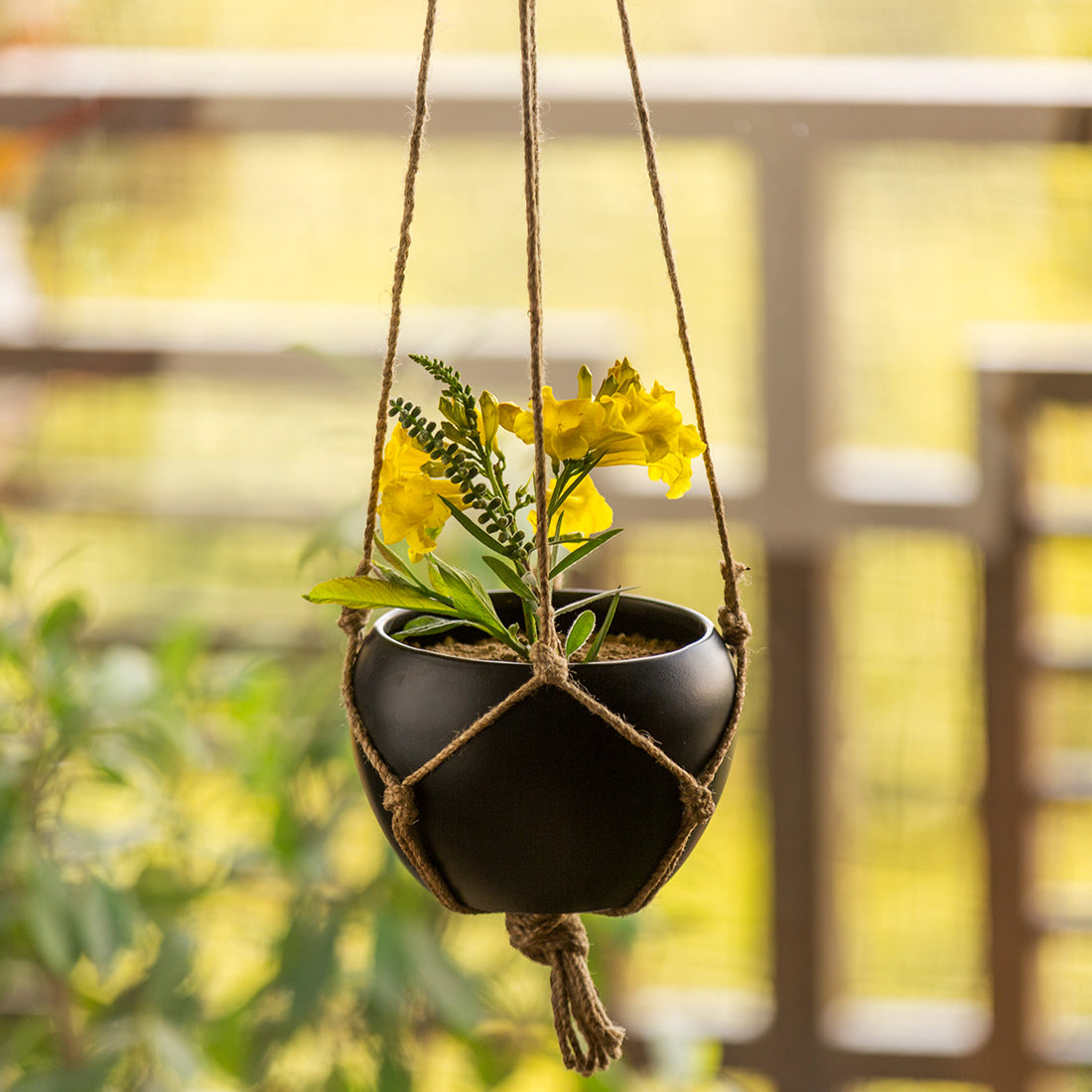 EXCLUSIVELANE 'Black Goblet' Metal Handpainted Hanging Planter Pot with Jute