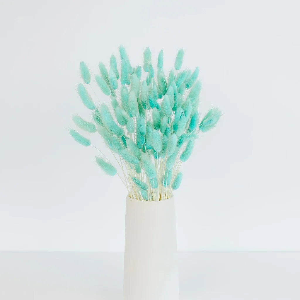 FiftyFlowers Baby Blue Dried Bunny Tail Grass