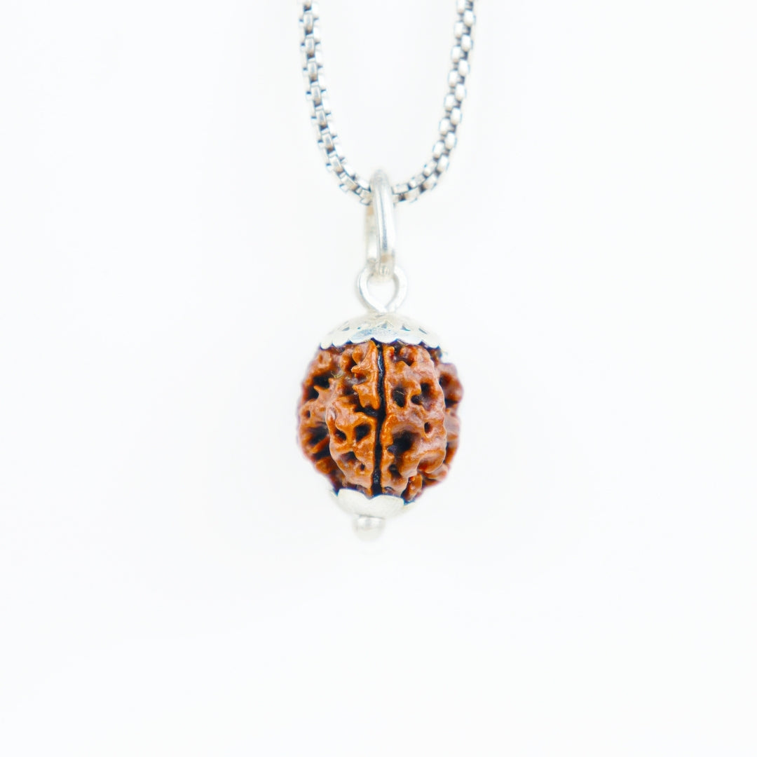 Prinjal Jewellers Silver Capping 3 Mukhi Rudraksha Pendant With Chain ( Nepali )