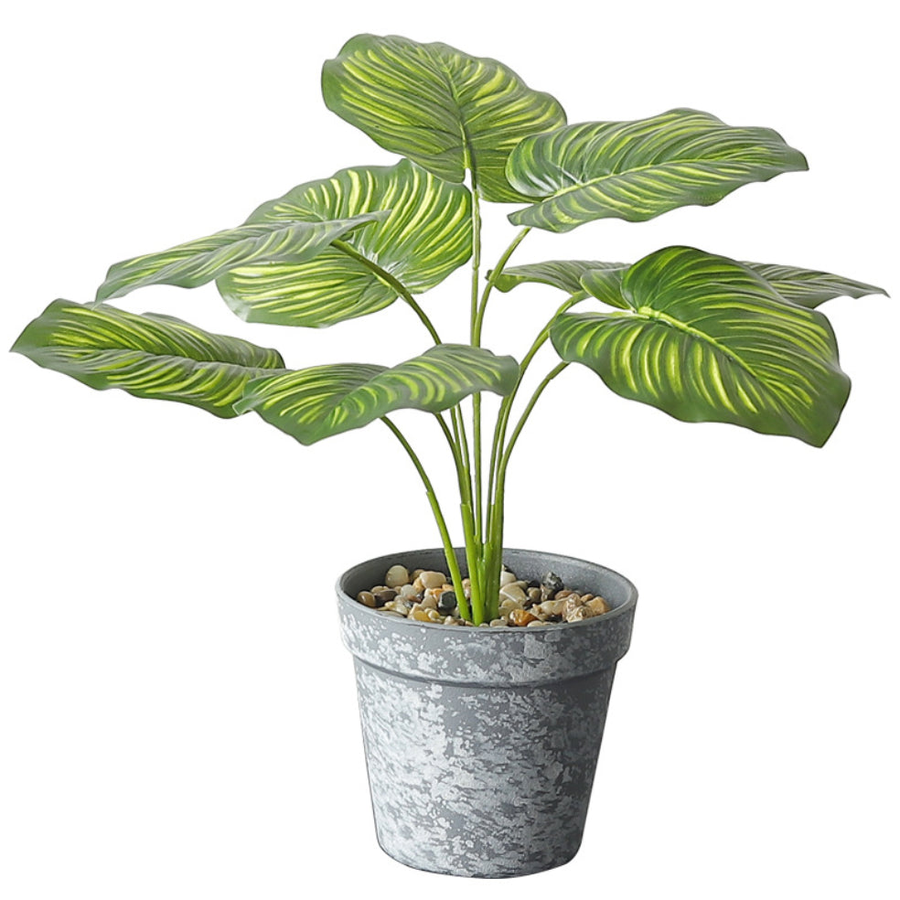 Nestasia Artificial Plant in Pot - view 11