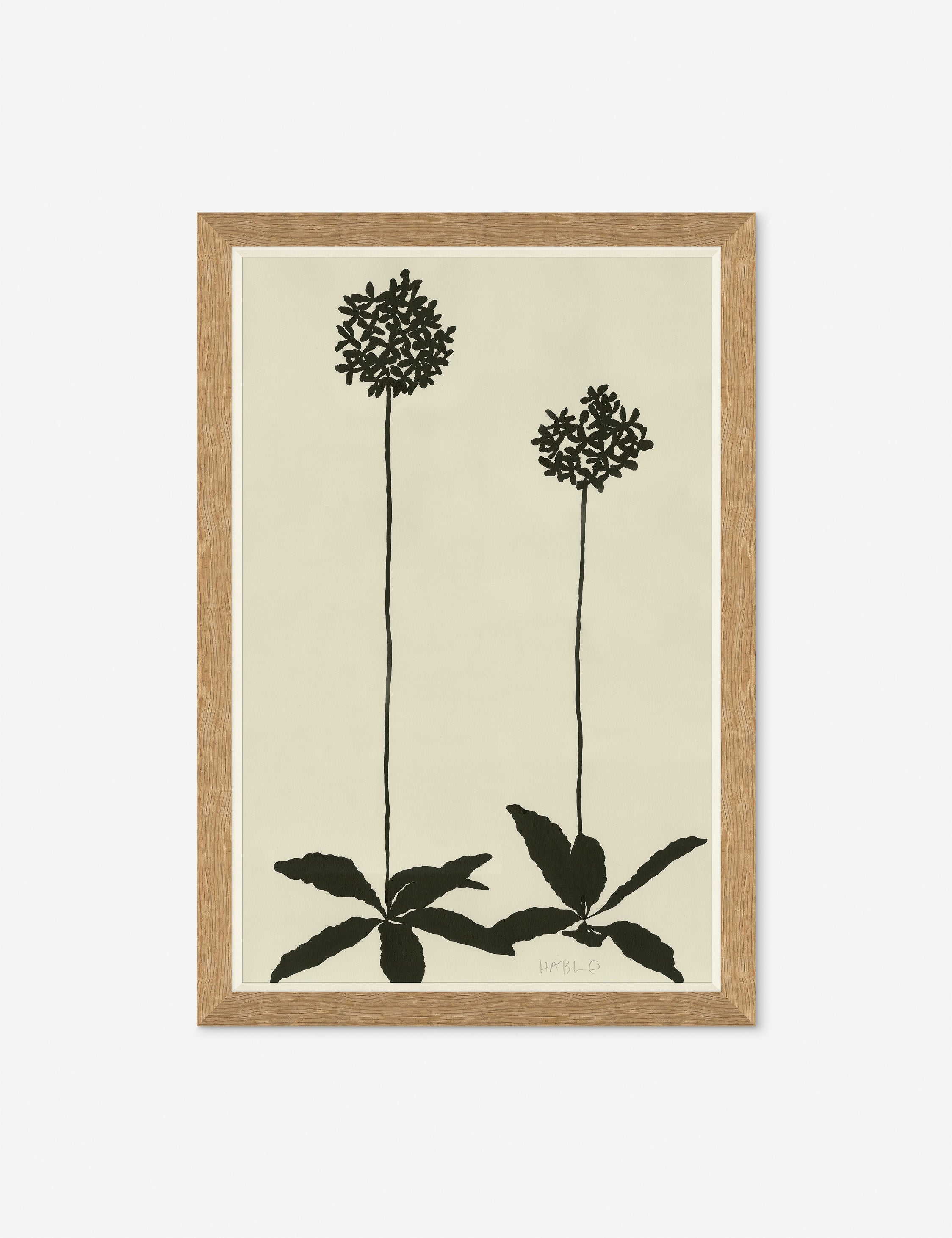 Lulu and Georgia Allium By Susan Hable
