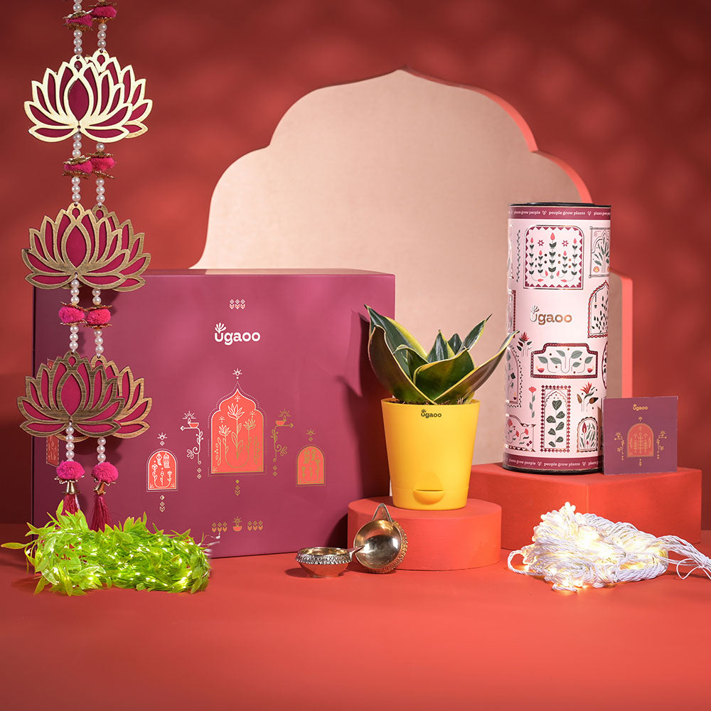 Ugaoo Breath of Air Diwali Gift Hamper