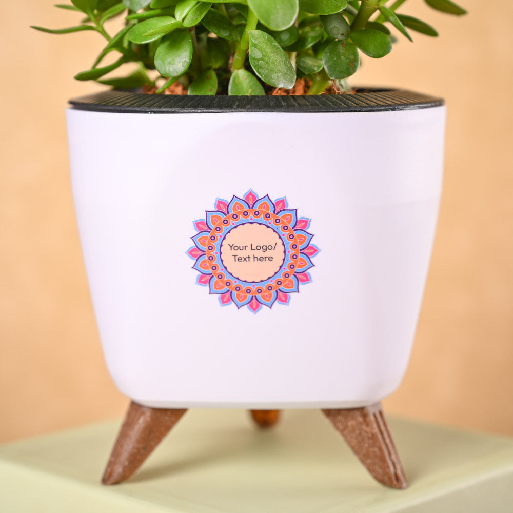 Ugaoo Jade Mini & Epiphany Diwali Gift Hamper - view 3