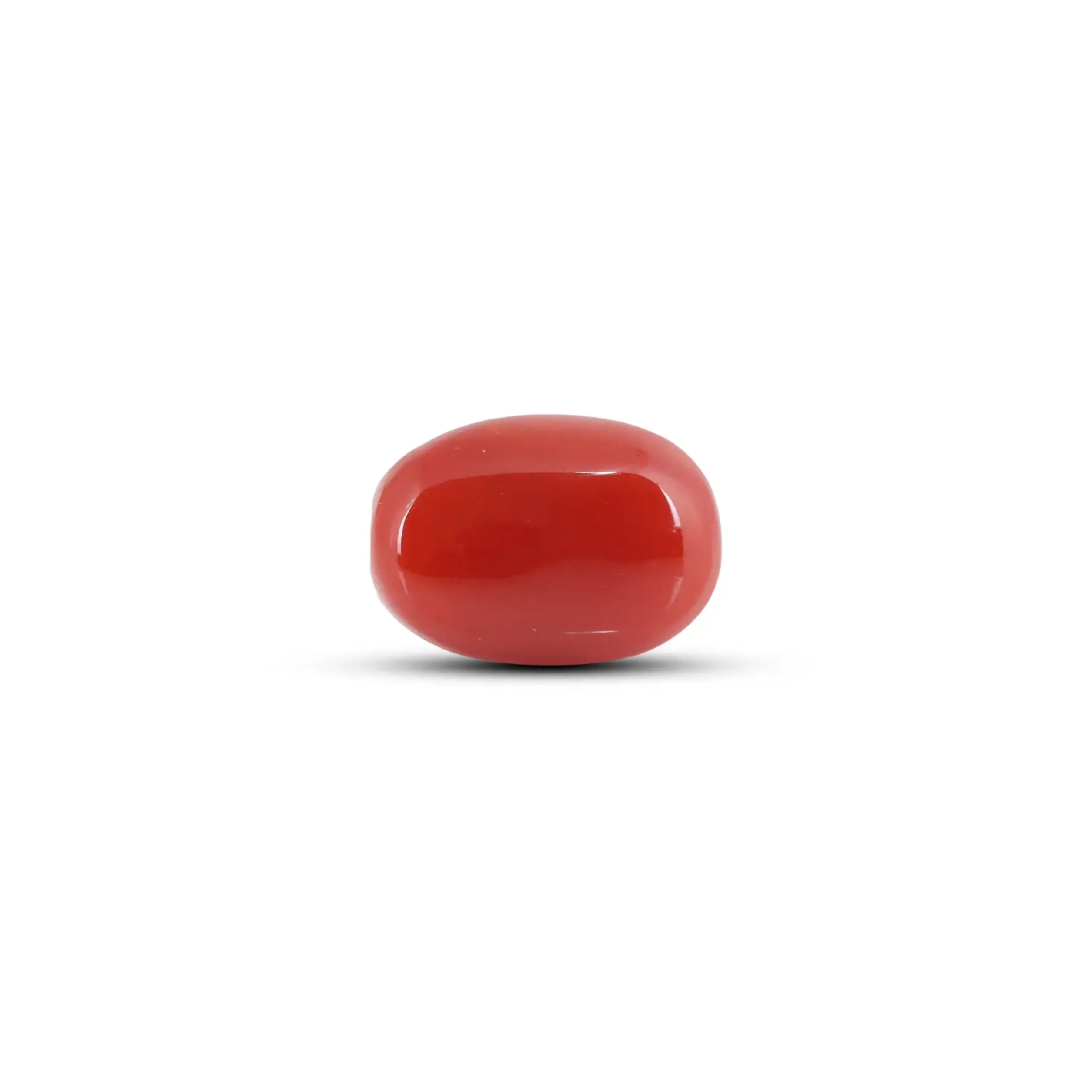 Pramogh Japanese Red Coral - 6 Carat