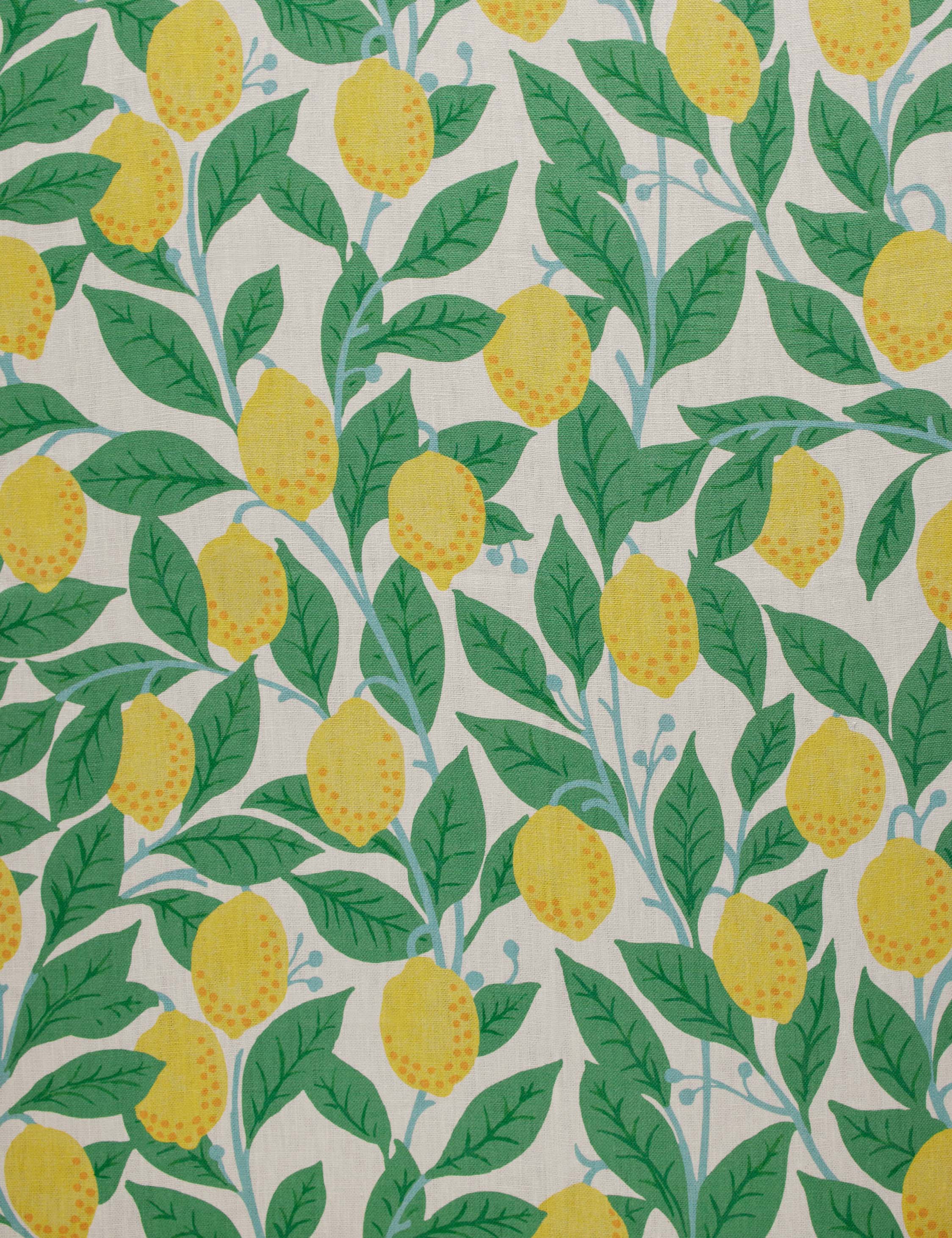 Lulu and Georgia Lemons on Natural on Linen by Nathan Turner - view 2