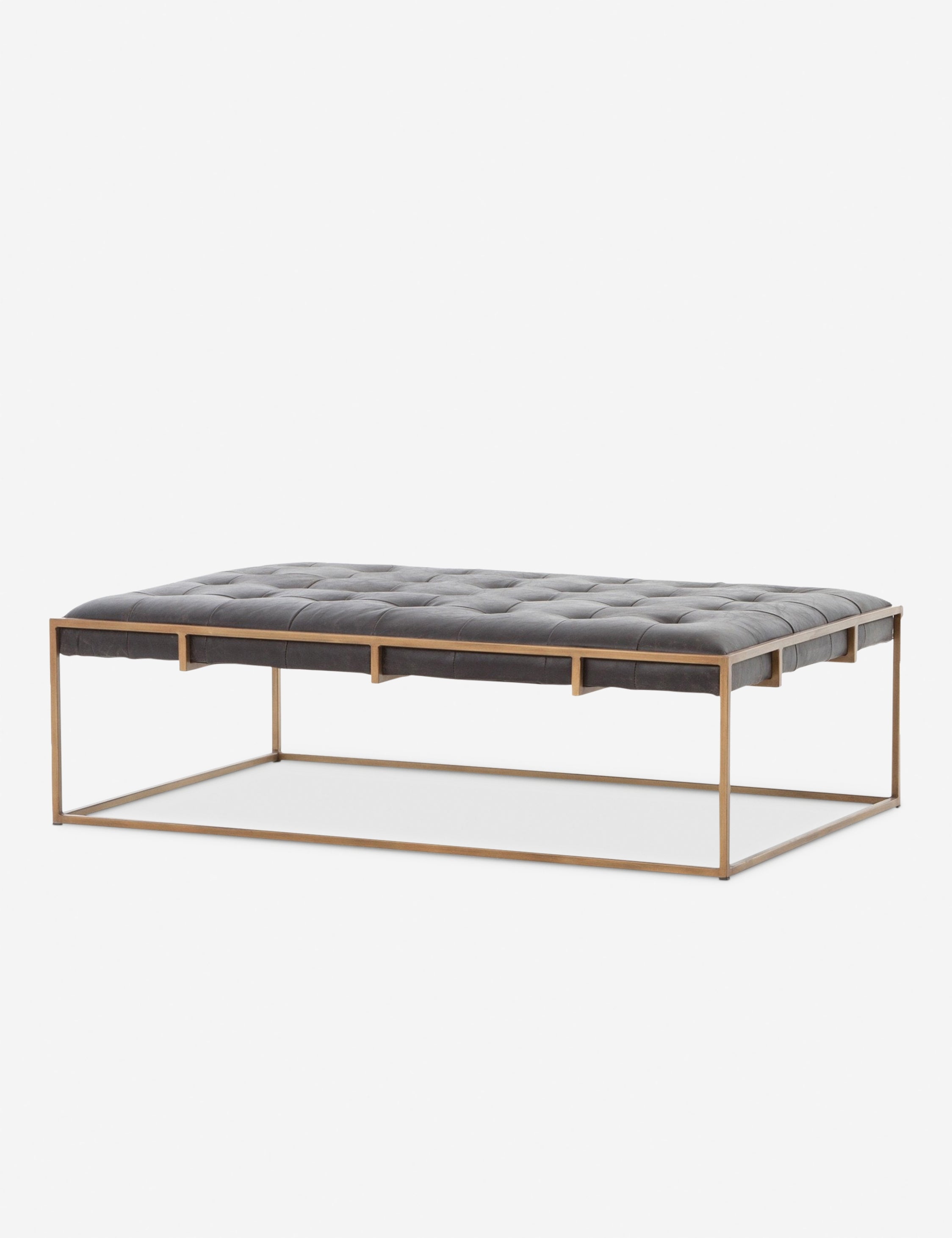 Lulu and Georgia Olwina Leather Coffee Table - view 9