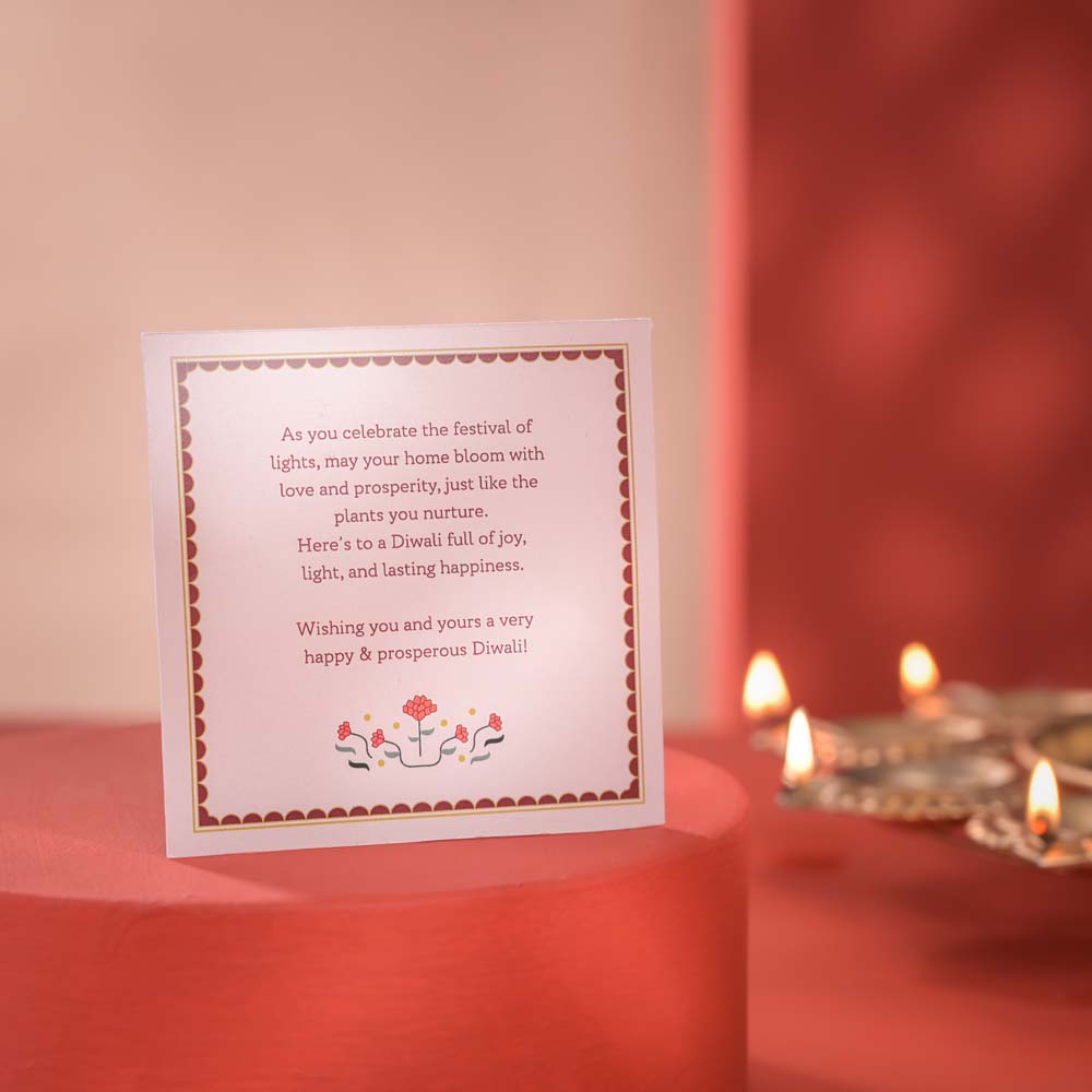 Ugaoo Light & Luck Diwali Gift Hamper - view 6