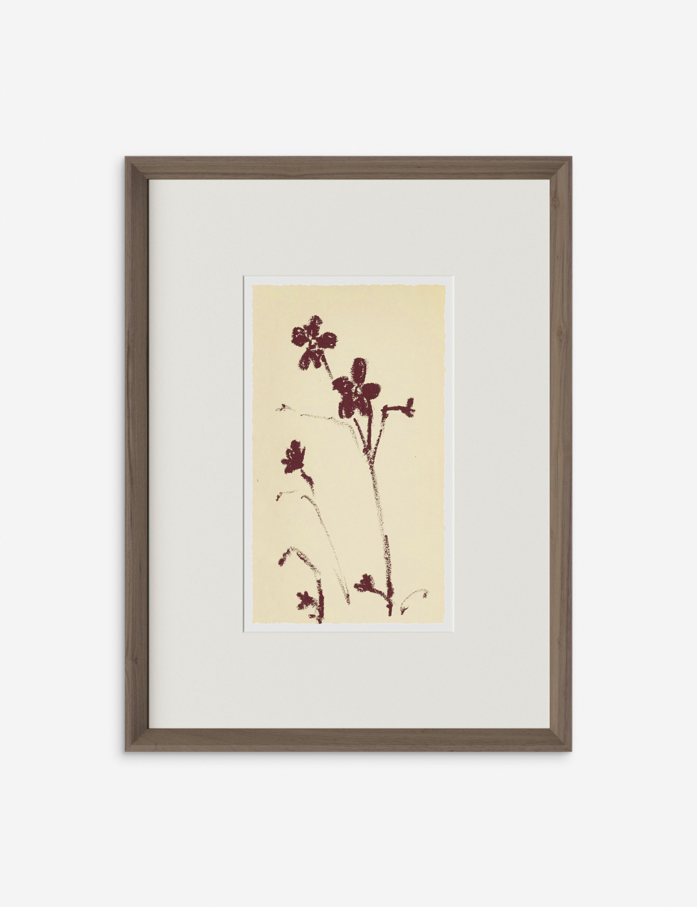 Lulu and Georgia Meadow Rue No. 9 Wall Art by Shaina Page