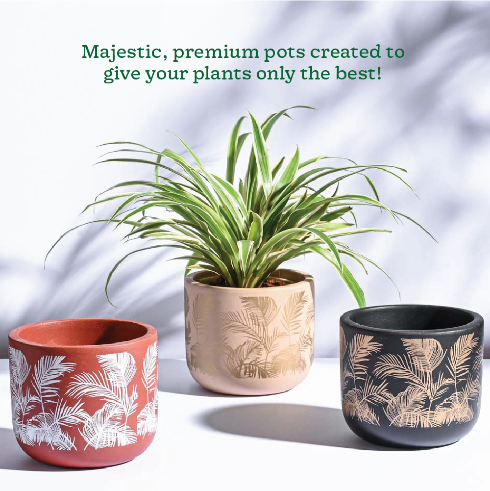 Ugaoo Sienna Terracotta Pots - Set of 3 - view 2