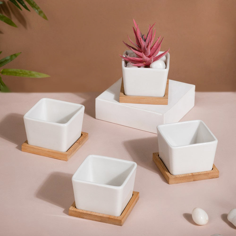 Nestasia White Ceramic Planter Square Set Of 4