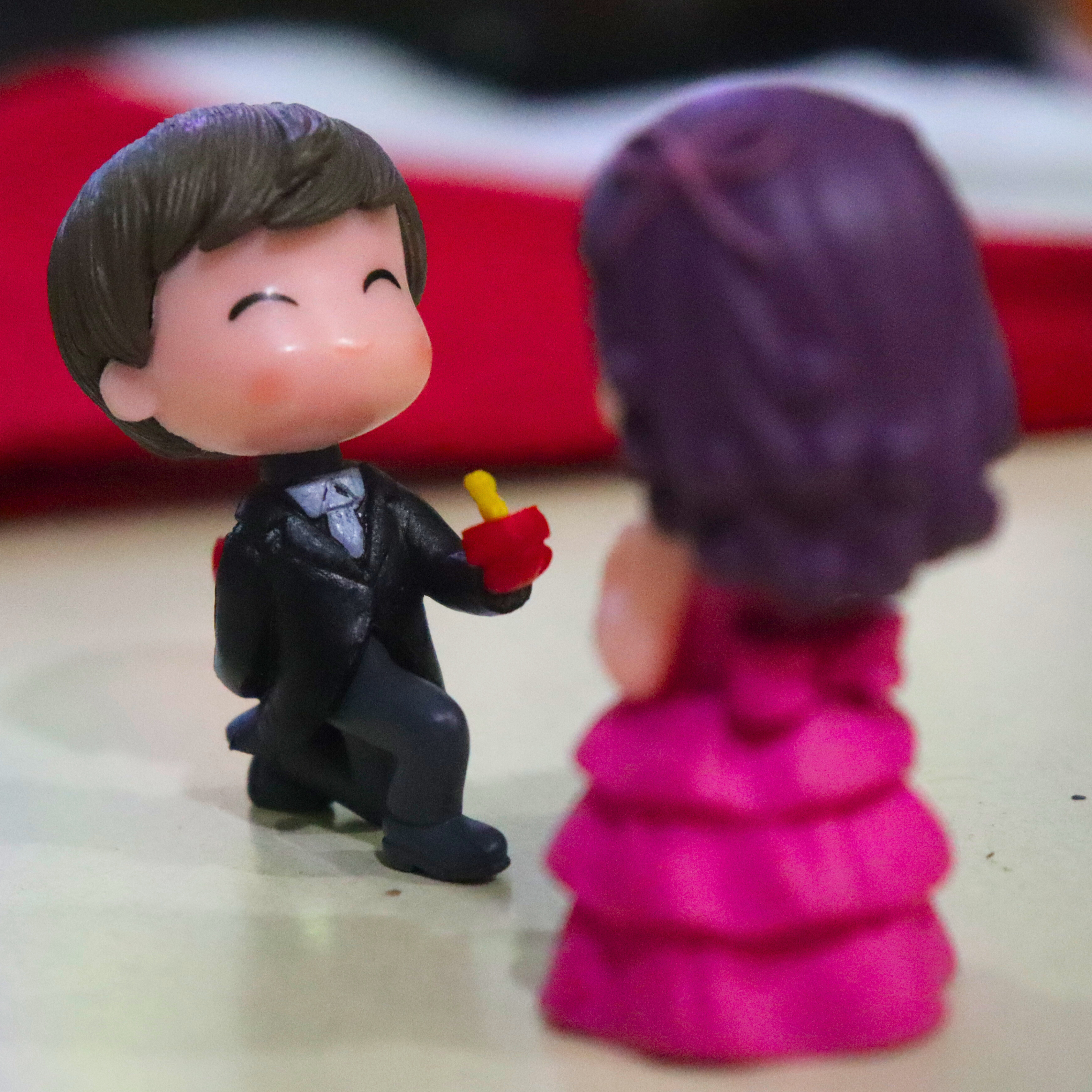 Seed2Plant Cute Couple Proposal Miniature