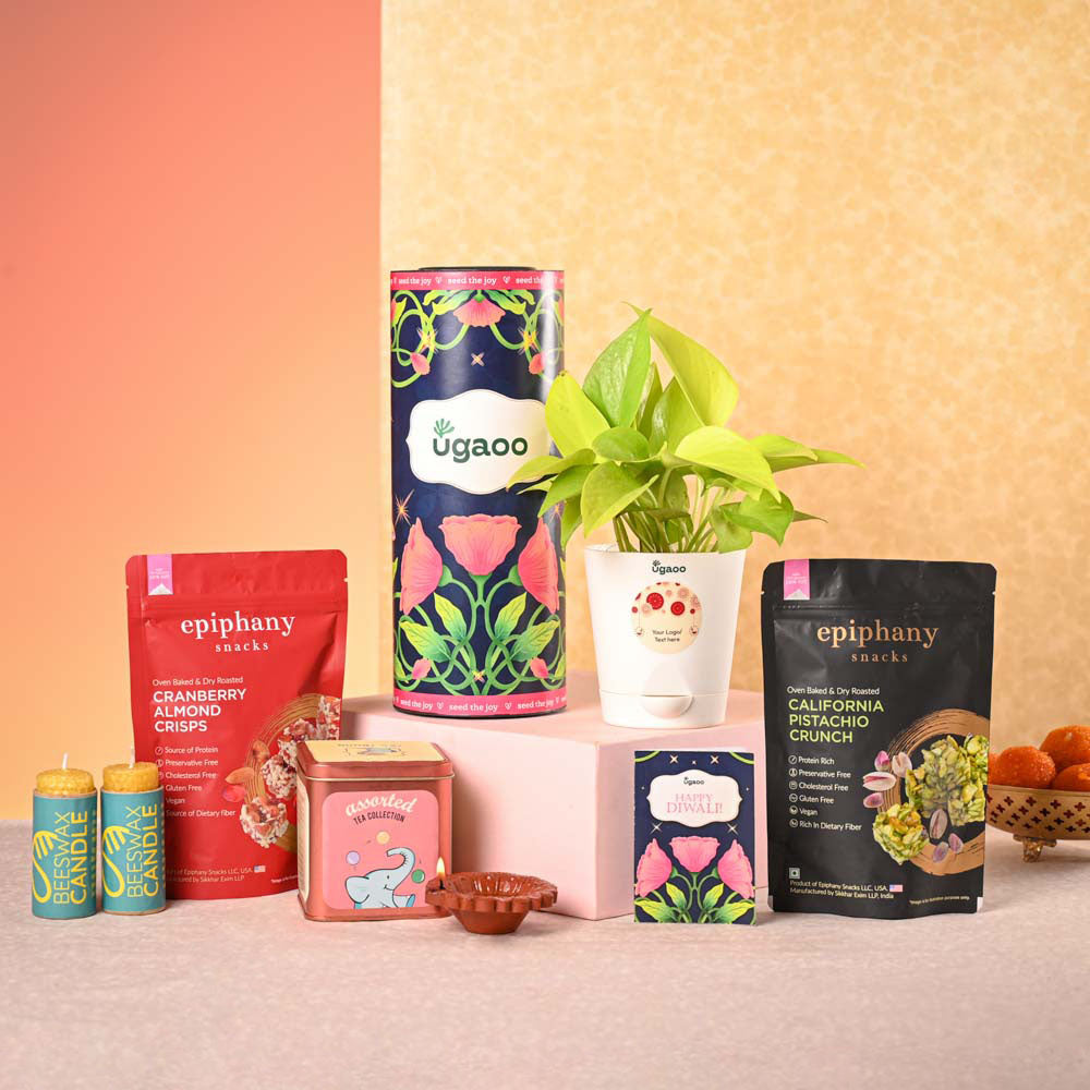 Ugaoo Money Plant Golden Plant & Tea Trunk Diwali Gift Hamper