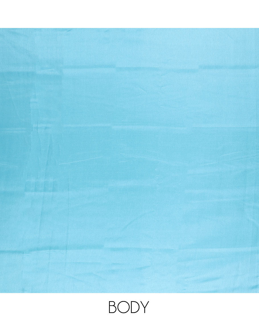 TheShoppothys Borderless sky blue plain design kamala silk saree, contrast intricately designed paisley design digital printed blouse
