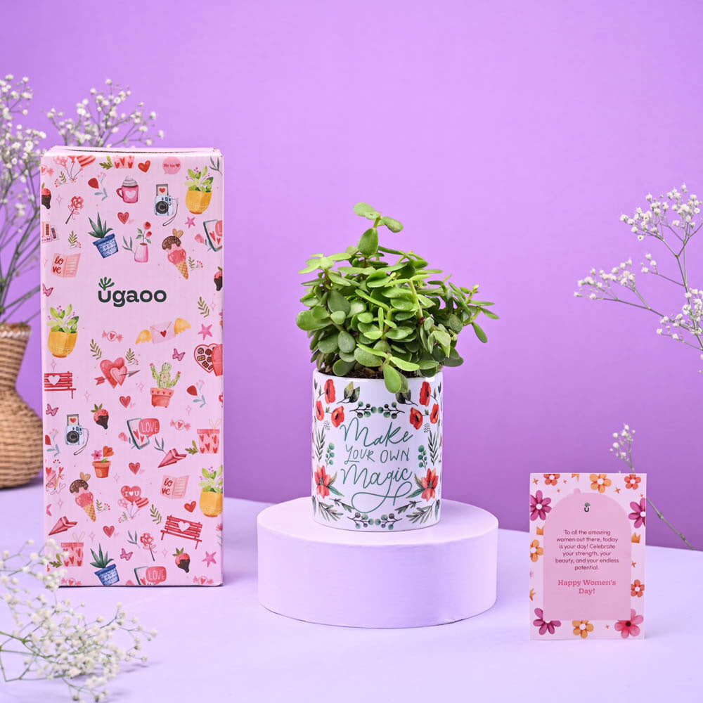 Ugaoo Jade Mini in Ceramic Pot Women's Day Gift