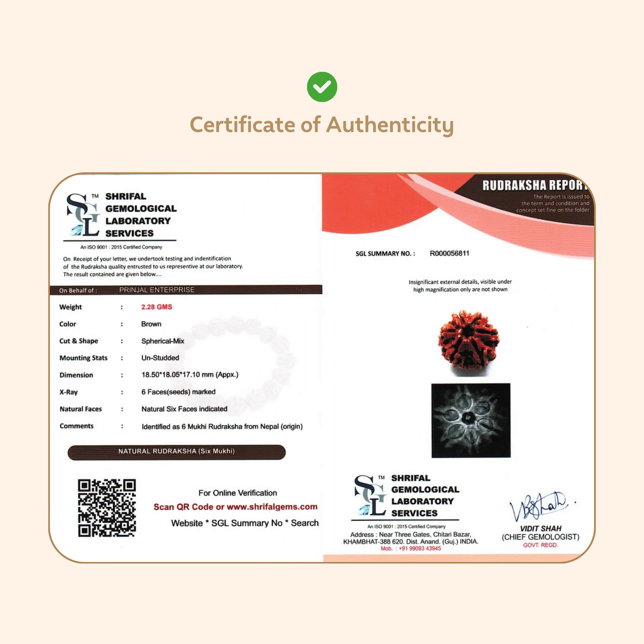 Prinjal Jewellers 6 Mukhi Rudraksha ( Nepali ) - view 5