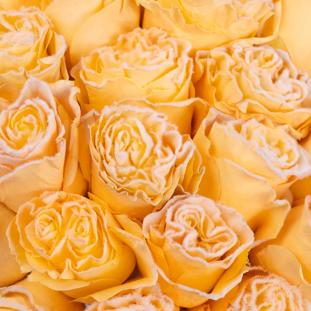 FiftyFlowers Tinted Peach Fuzzy Roses - view 4
