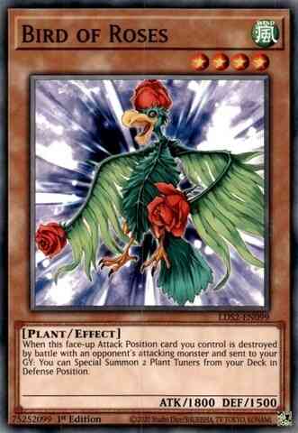 Yu-Gi-Oh! Bird of Roses - LDS2-EN099 - Common - 1st Edition