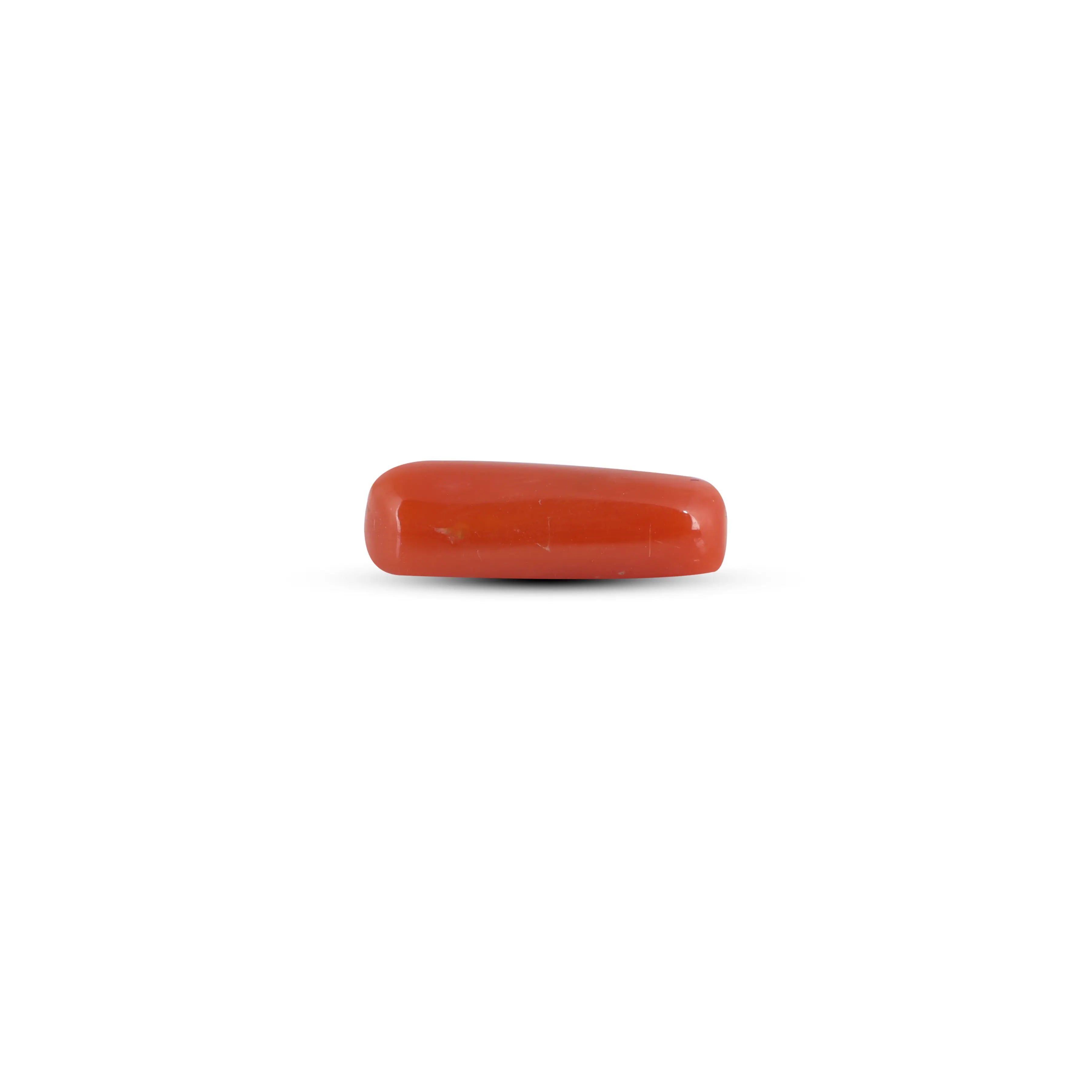 Pramogh Red Coral - 3.1 Carat - view 3