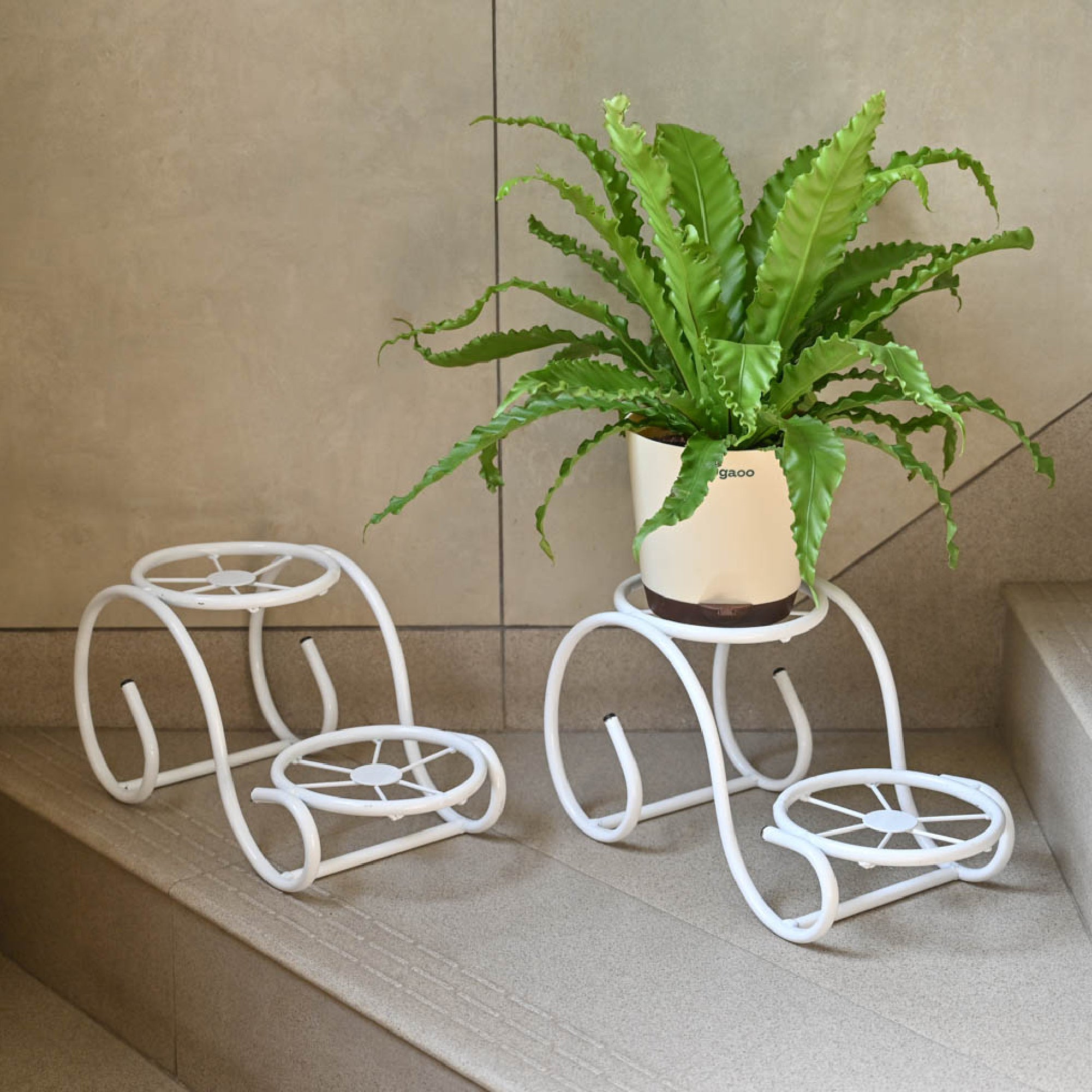 Ugaoo Swirl Decorative Plant stand- Set of 2- White - view 6