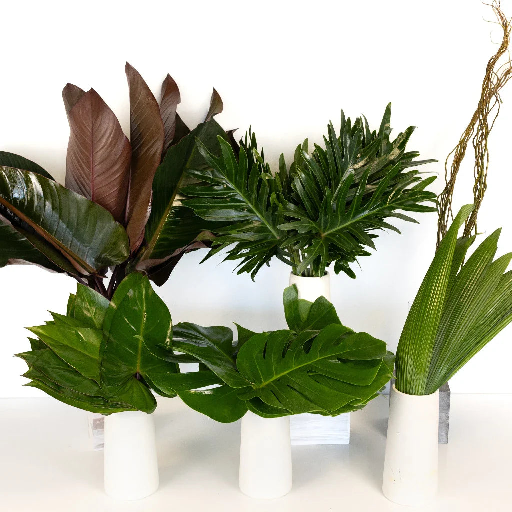 FiftyFlowers Forest Green Savanna DIY Greenery Kit