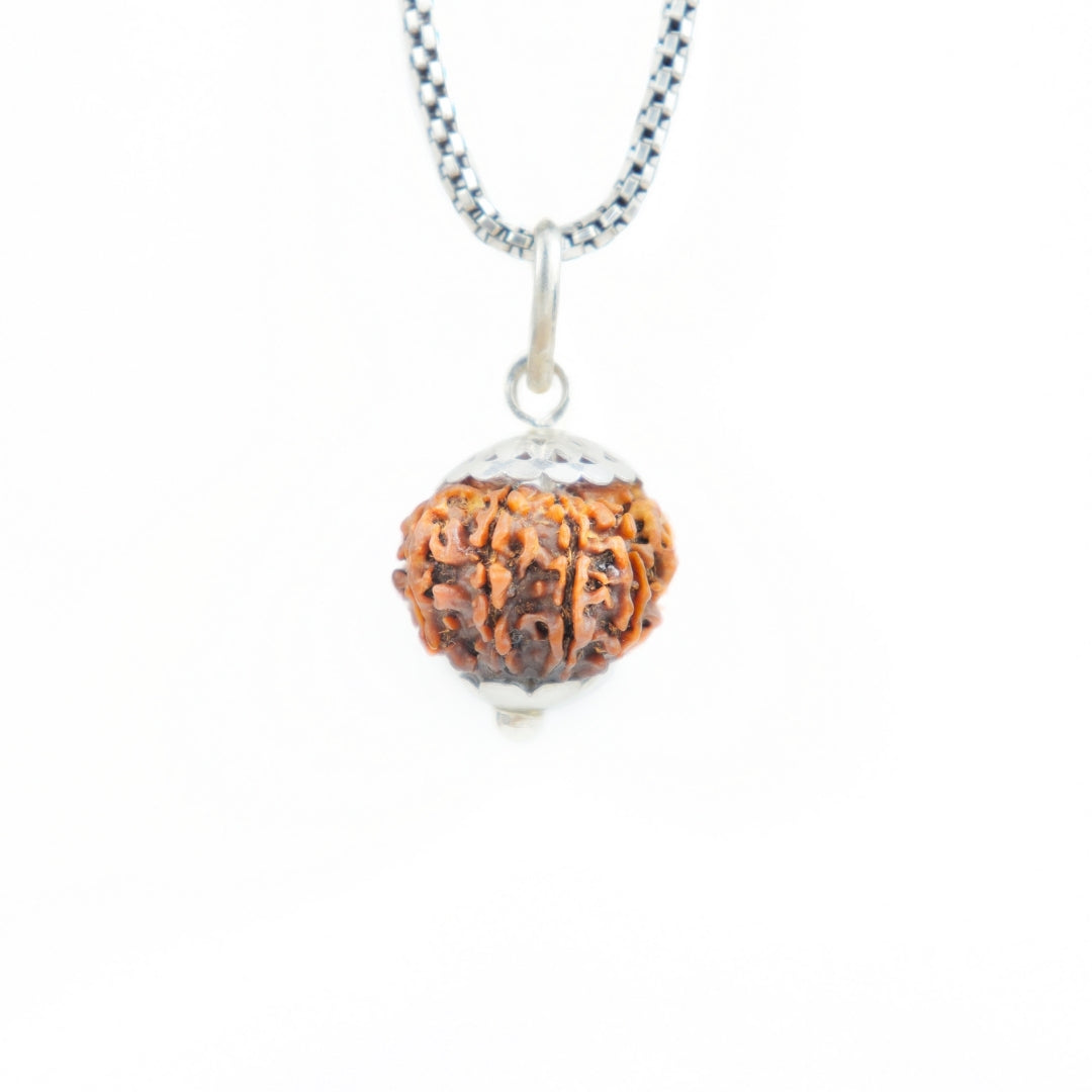 Prinjal Jewellers Silver Capping 11 Mukhi Rudraksha Pendant With Chain ( Nepali )