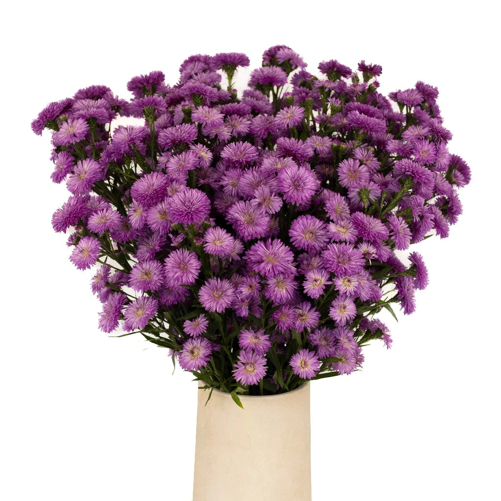 FiftyFlowers Purple Lilac Duplo Aster Flowers