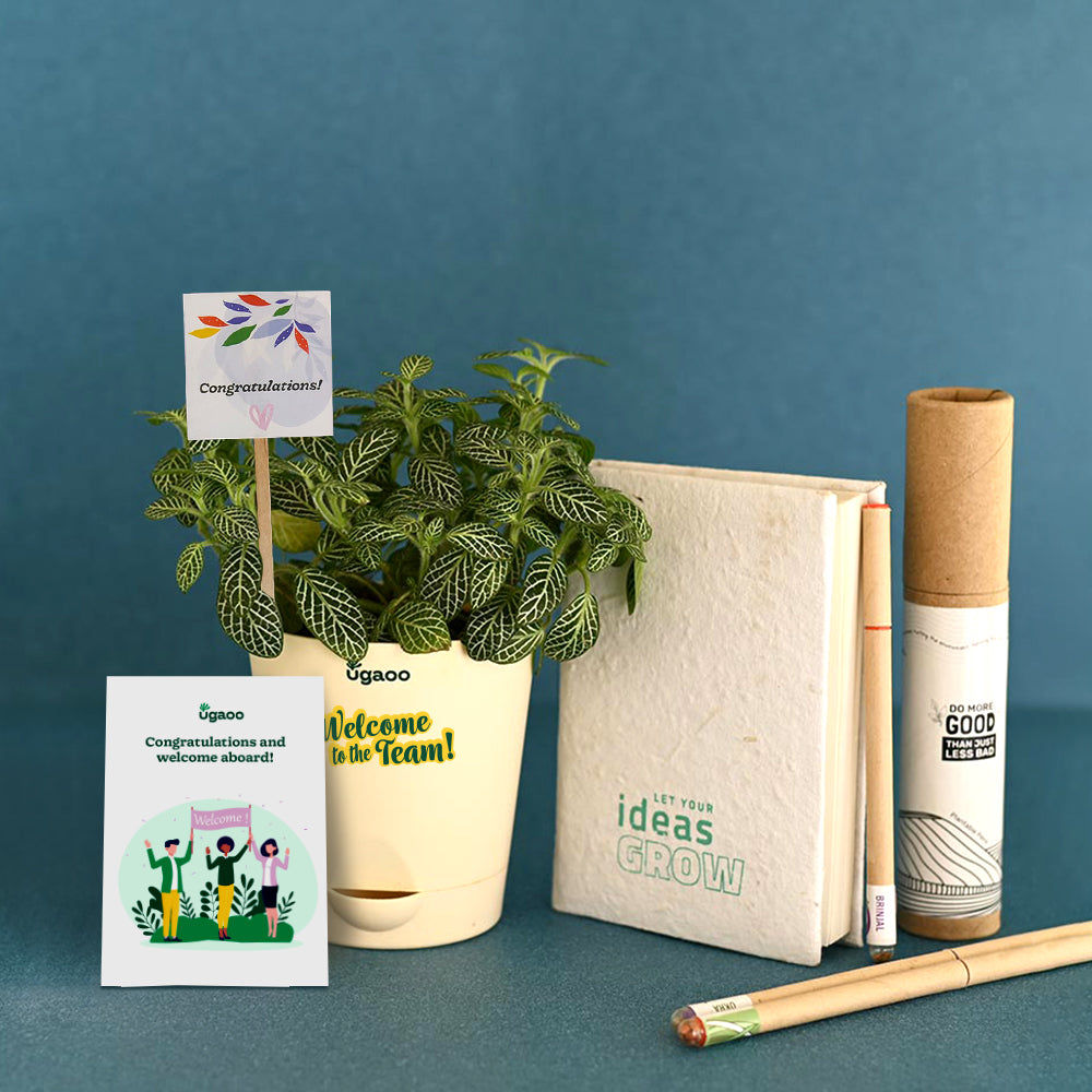 Ugaoo Plant Enviro Bag For Welcoming New Employee
