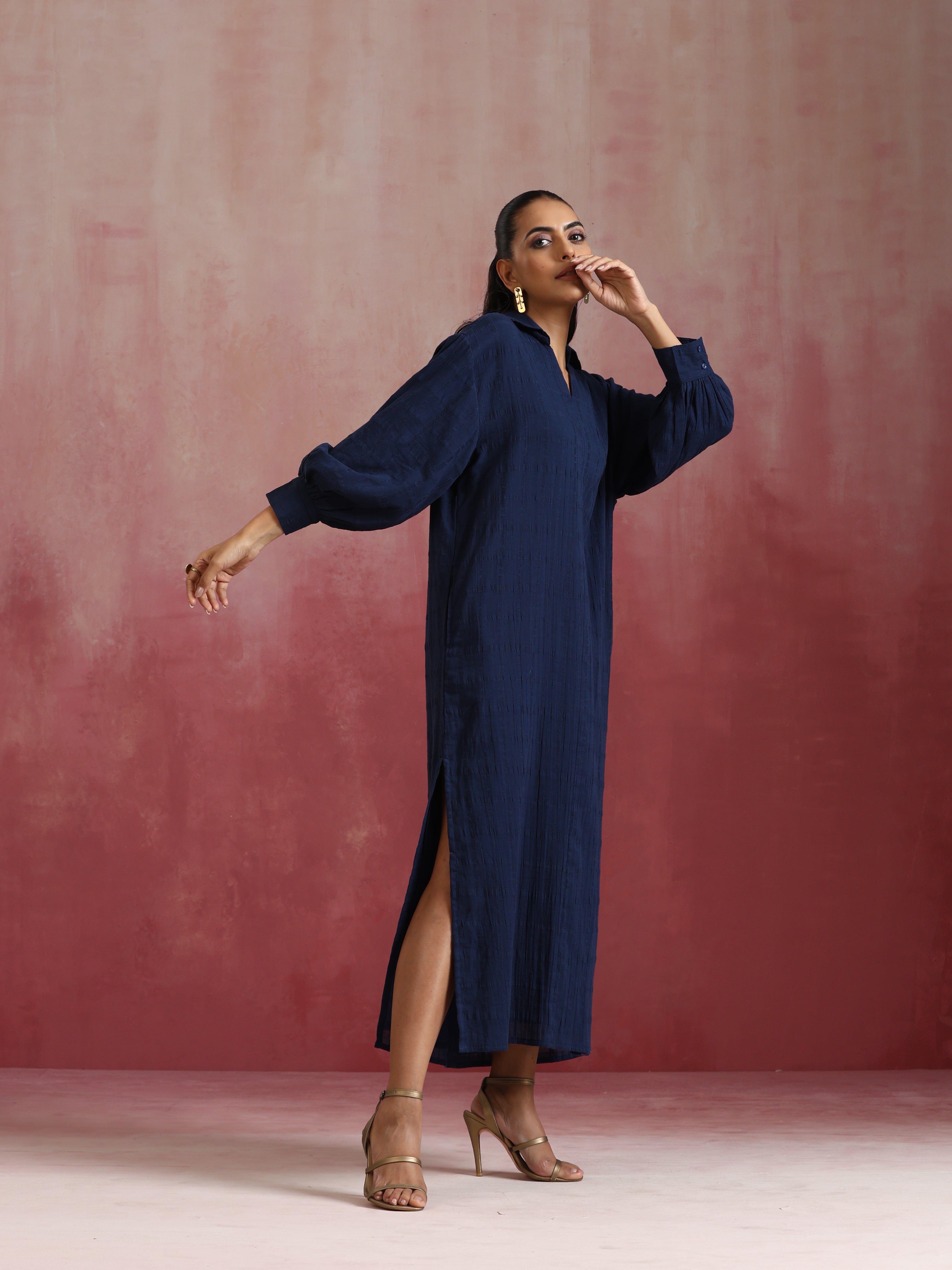 trueBrowns Dark Blue Cotton Dobby Dress - view 3