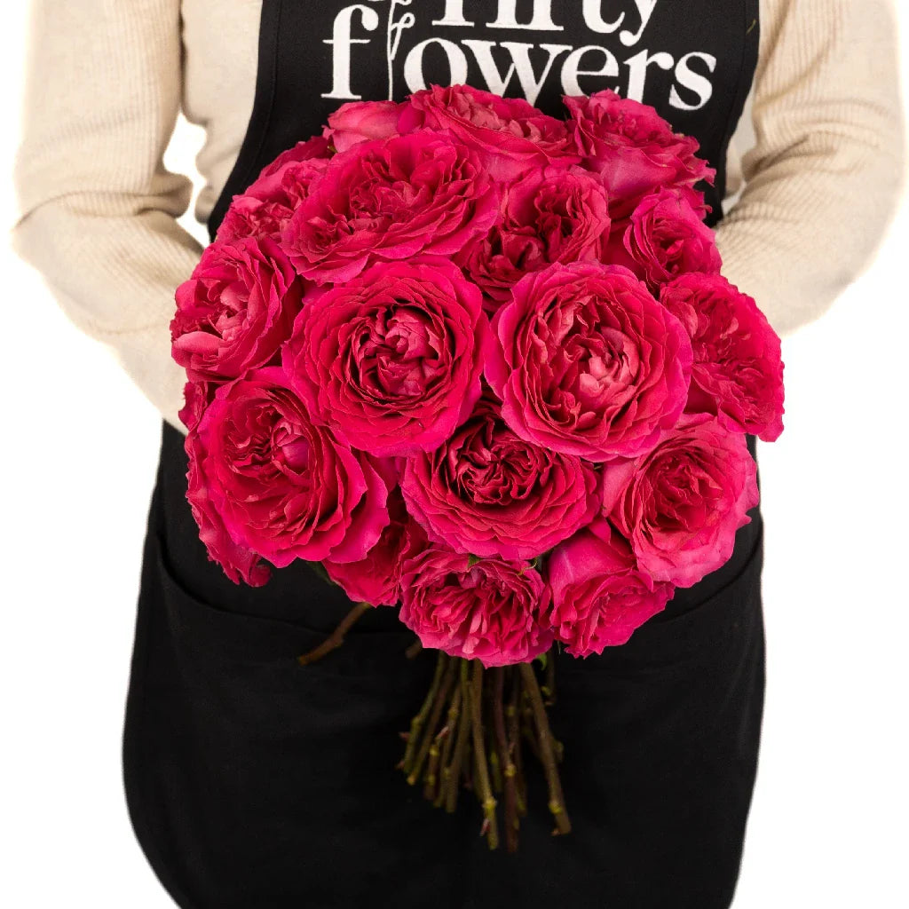 FiftyFlowers Pink Hettie David Austin Garden Rose