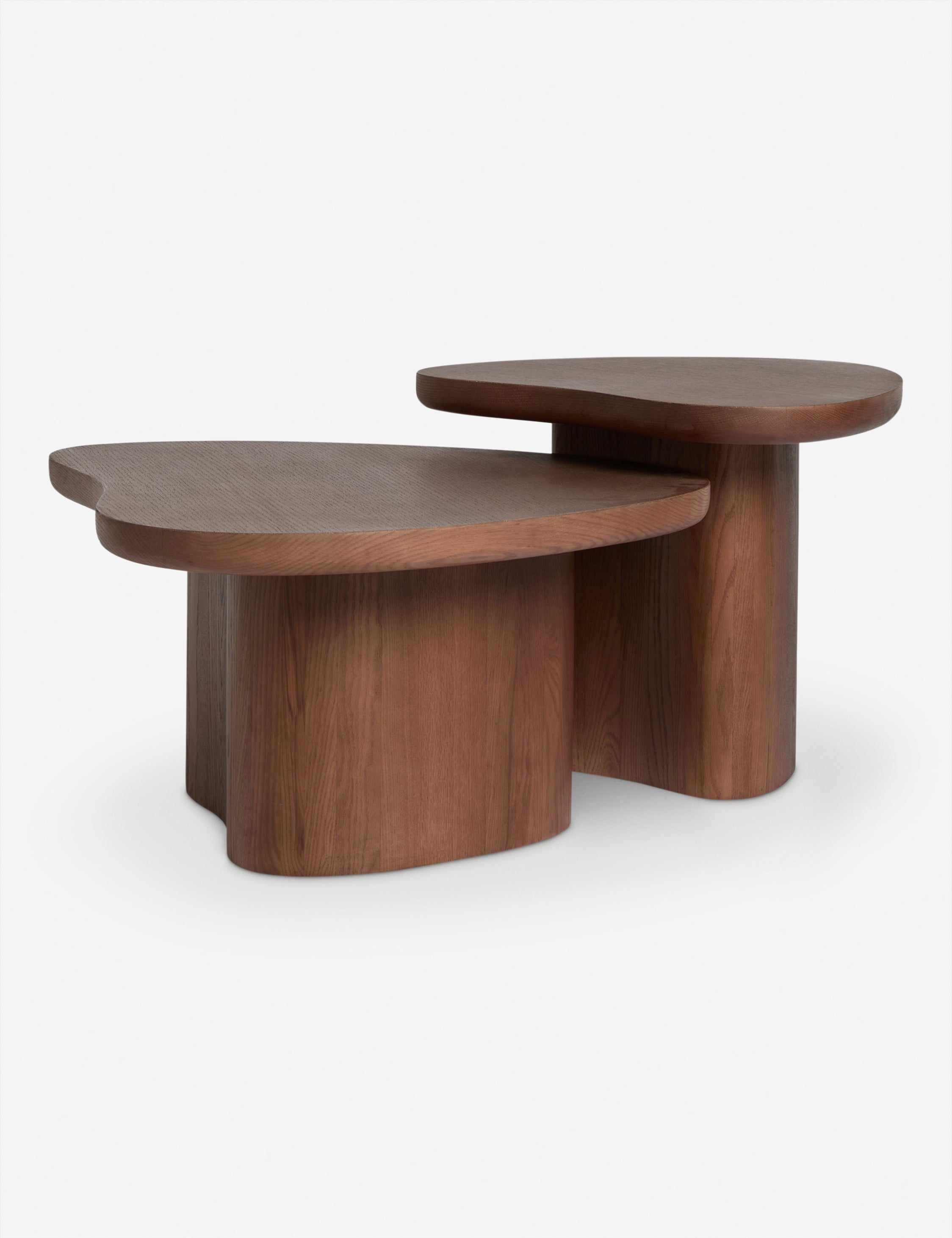 Lulu and Georgia Torino Nesting Coffee Table by Aimee Song - view 14