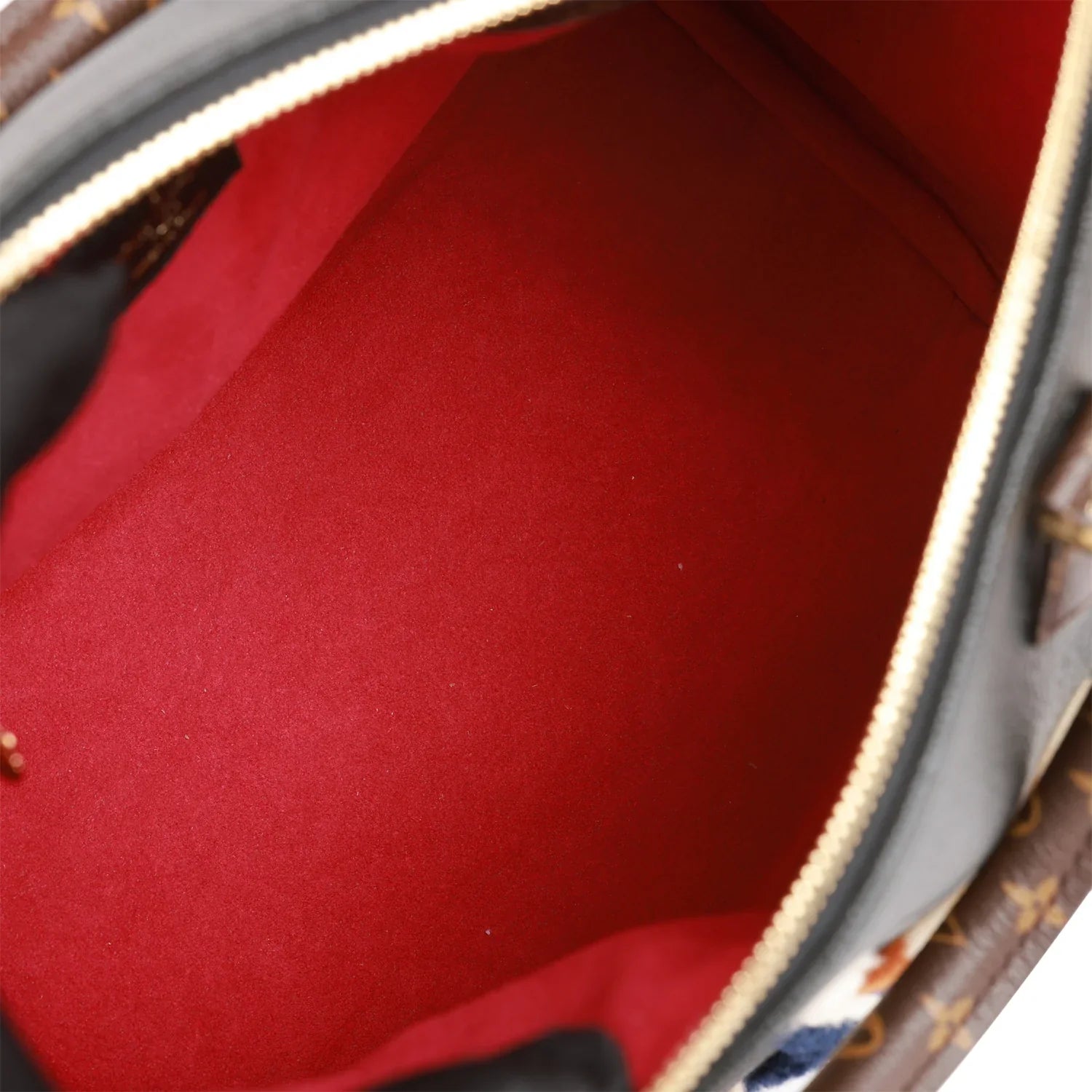 Cop Underdog Louis Vuitton Teddy Monogram Shearling Speedy 25 Bandouliere - view 6