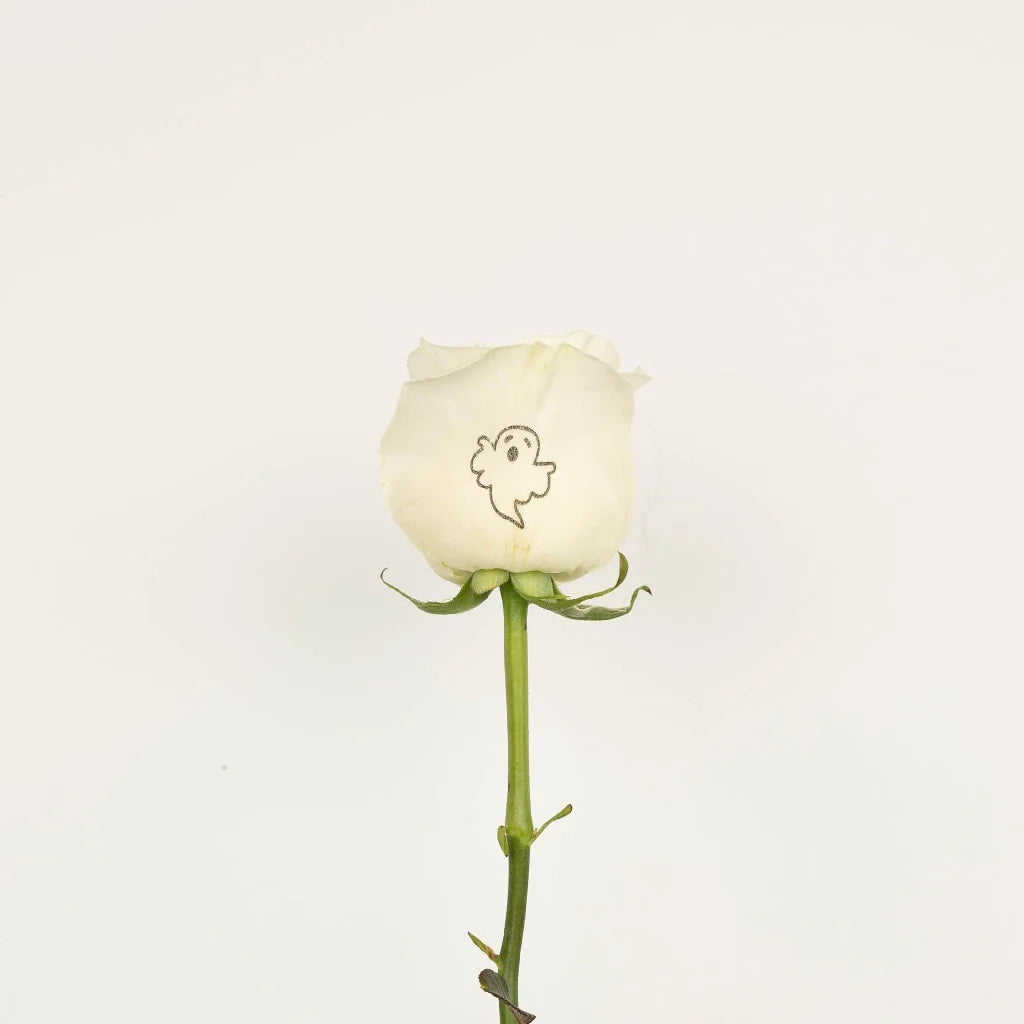 FiftyFlowers Glow in The Dark Ghost White Rose - view 3