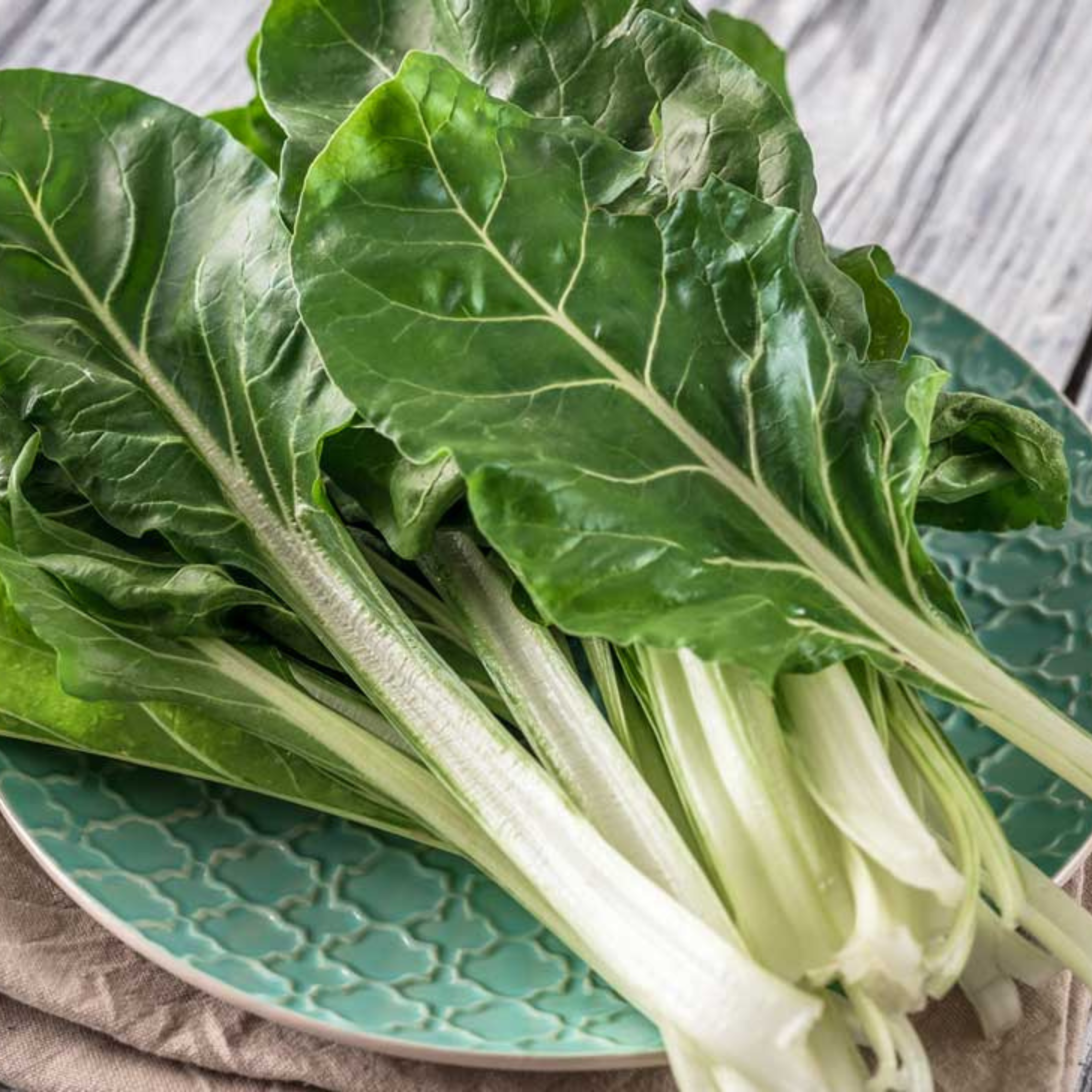 Seed2Plant Organic Swiss Chard (स्विस चार्ड के बीज) Seeds - Open Pollinated