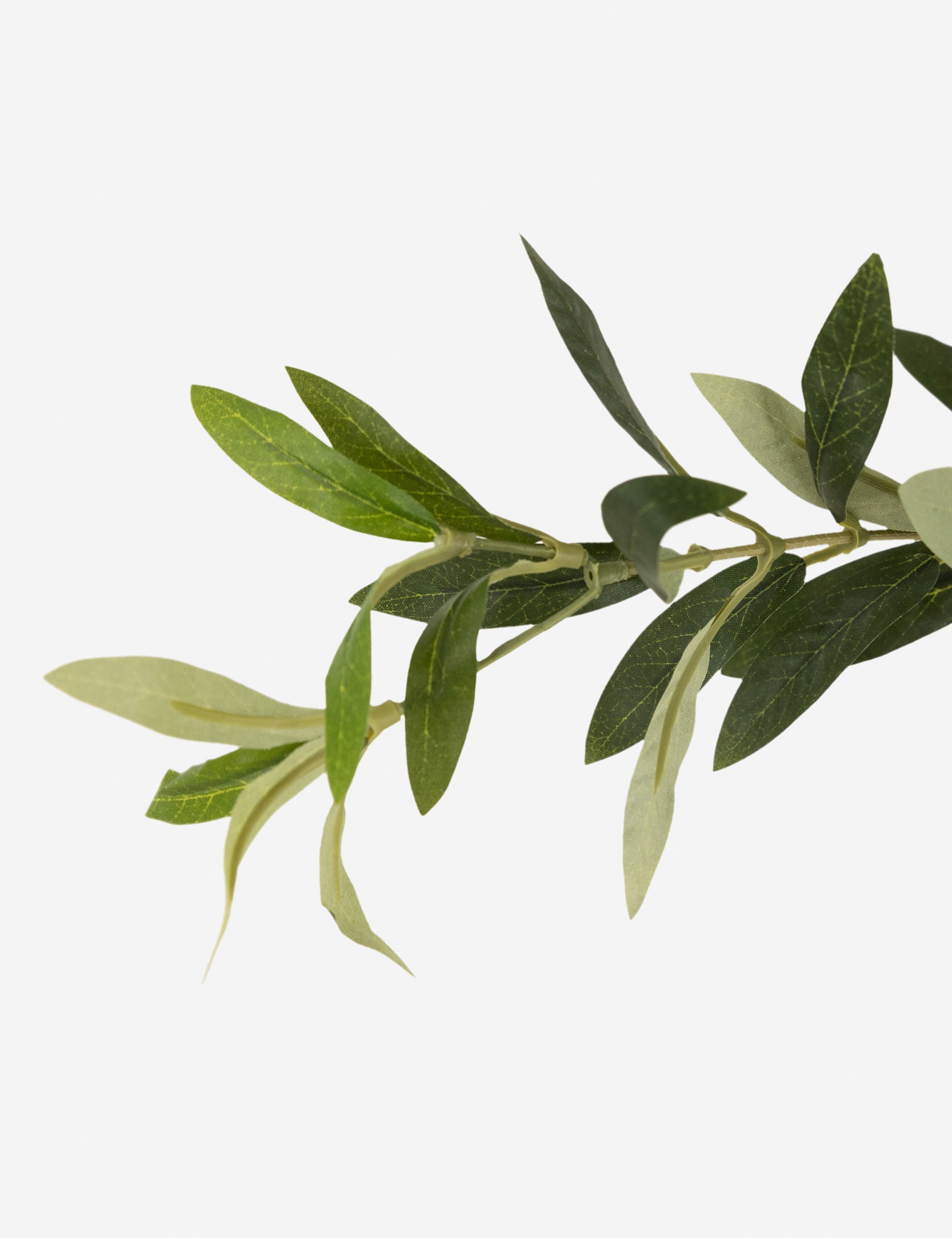 Lulu and Georgia Faux Olive Tree - view 8