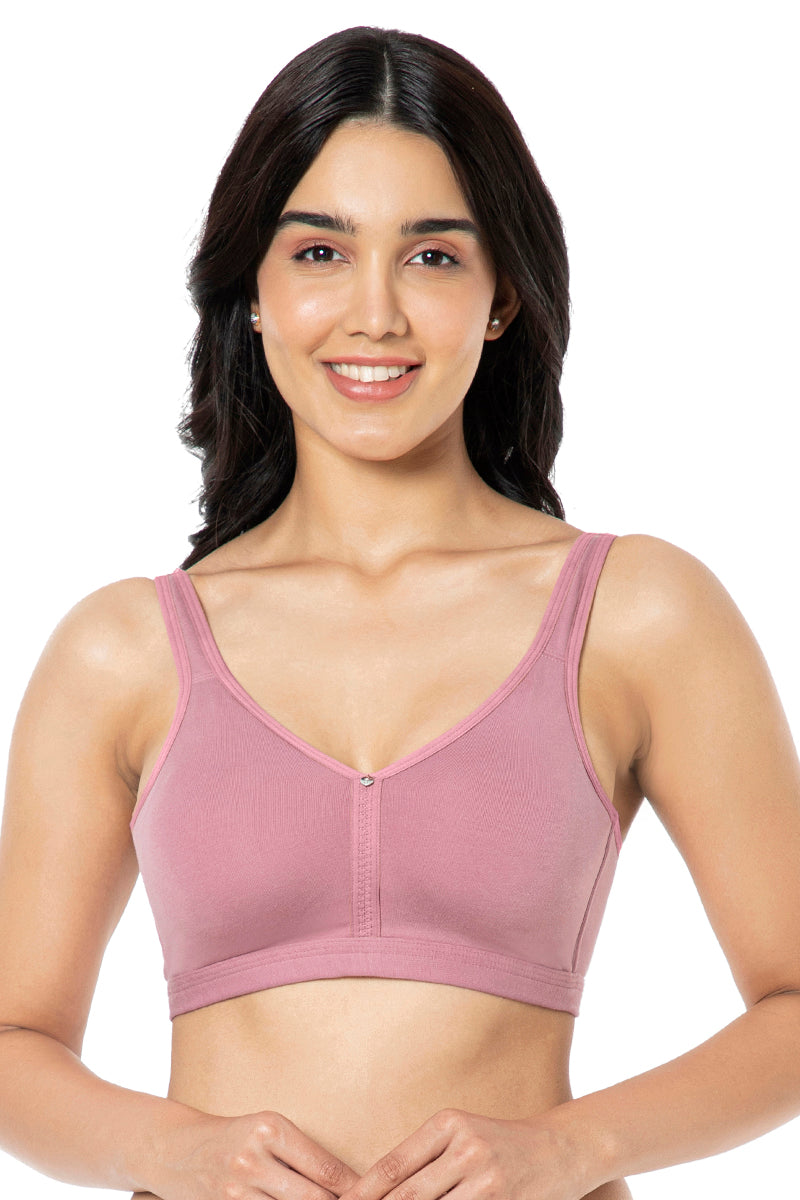 Amante Cotton Chic Support Solid Non Padded Non-Wired Bra - Mesa Rose