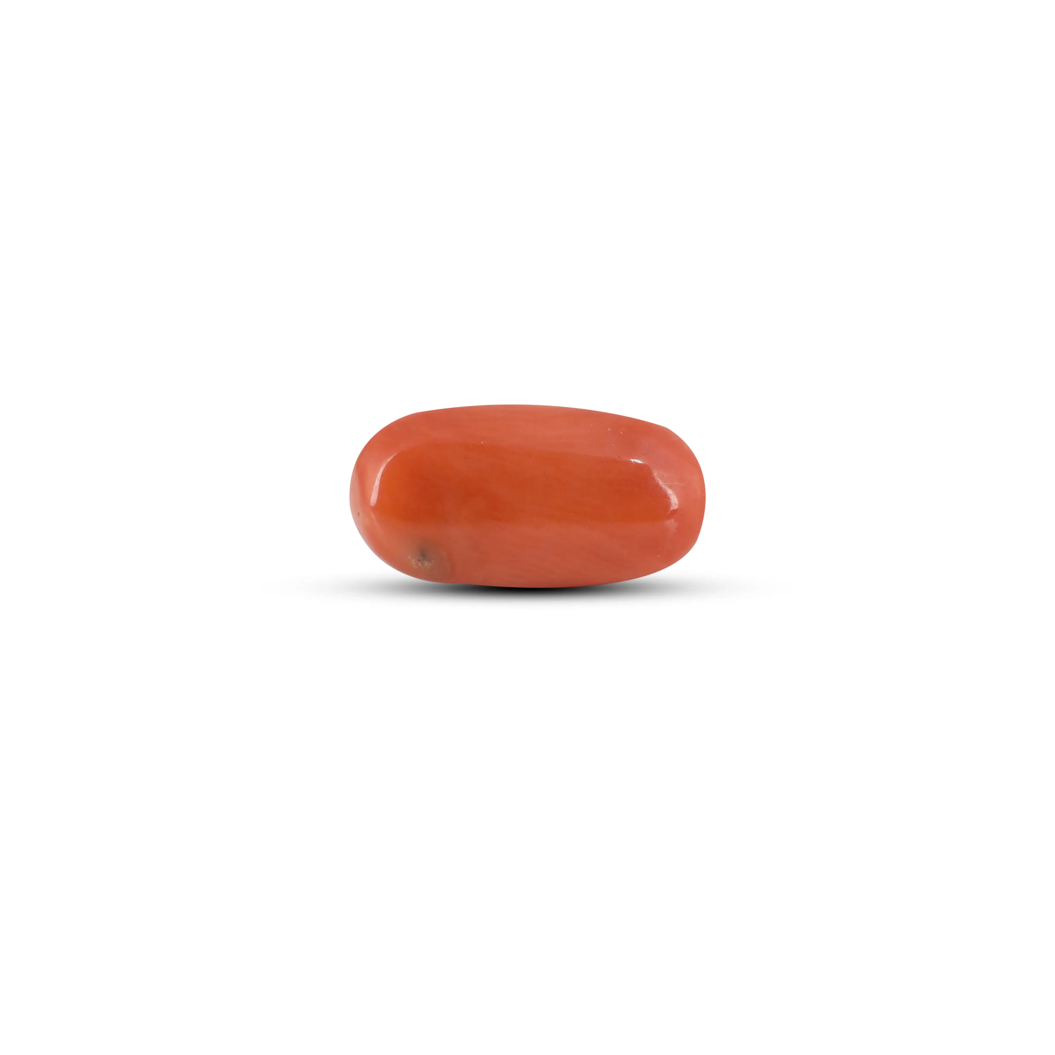 Pramogh Red Coral - 5.6 Carat - view 2