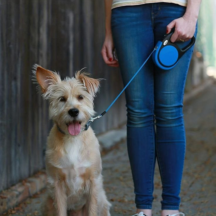 Catterton Big Adjustable Dog Leash - view 2