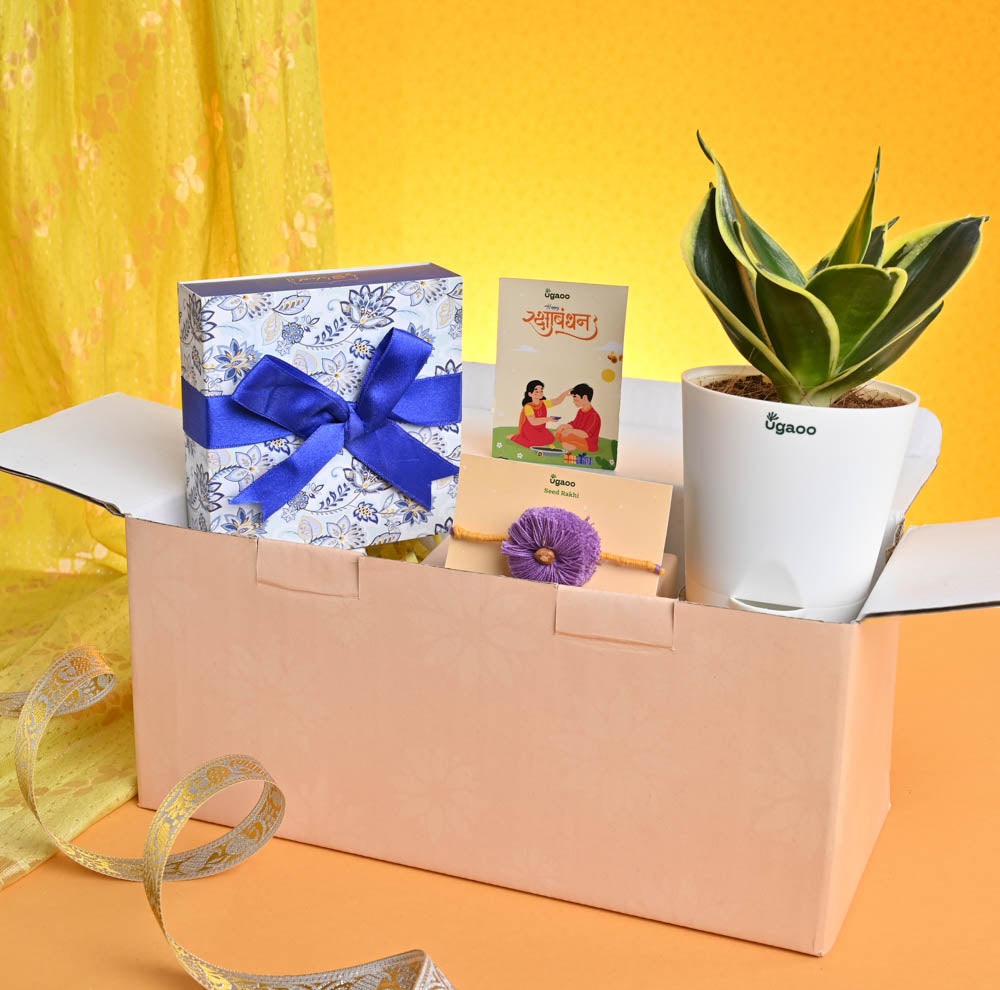 Ugaoo Rakhi Gift for Brother - Snake Golden Haini with Chocolate Box - view 7